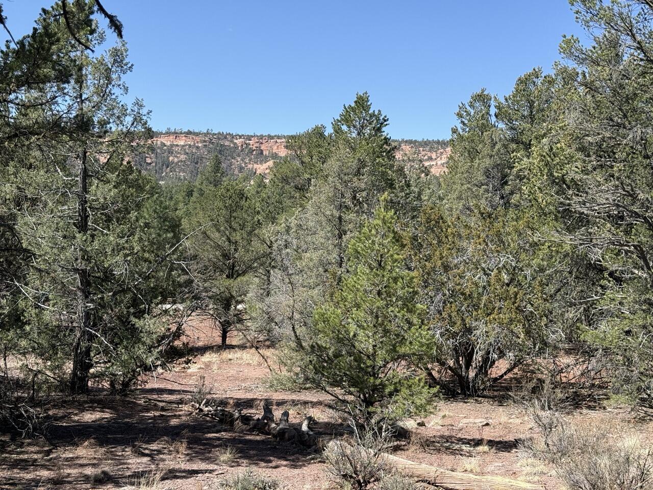 Lot 19 Pinetree Road, Ramah, New Mexico image 1