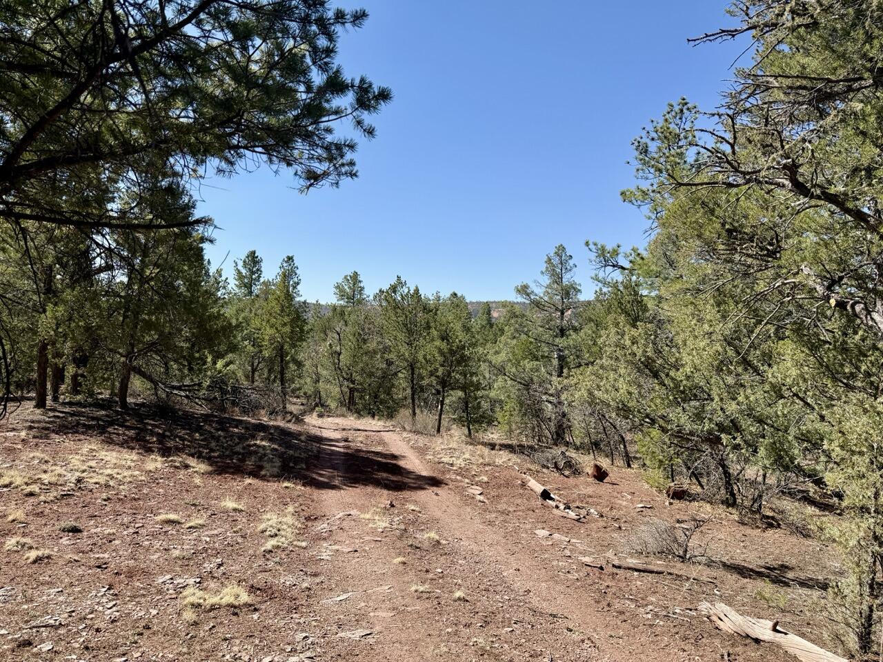 Lot 19 Pinetree Road, Ramah, New Mexico image 43