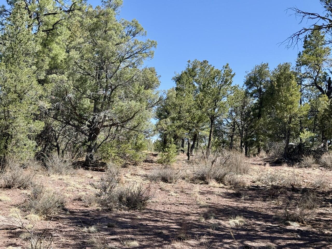 Lot 19 Pinetree Road, Ramah, New Mexico image 49