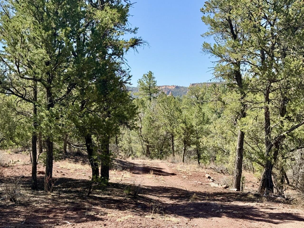 Lot 19 Pinetree Road, Ramah, New Mexico image 40