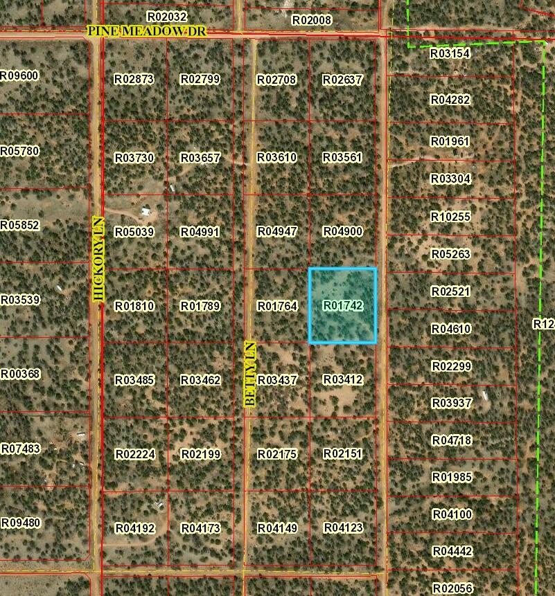 Lot 524 Julie Lane, Ramah, New Mexico image 1