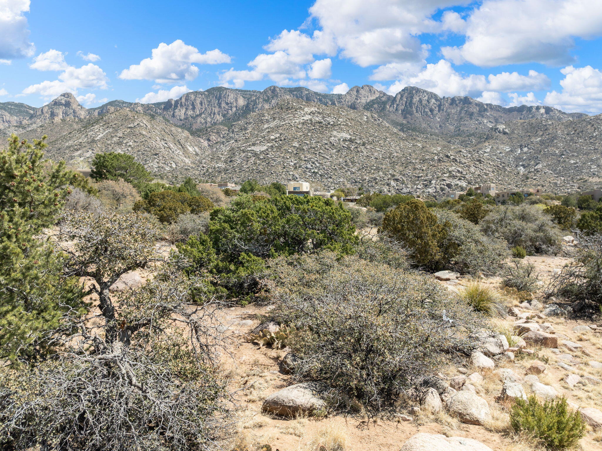 233 Spring Creek Court, Albuquerque, New Mexico image 16