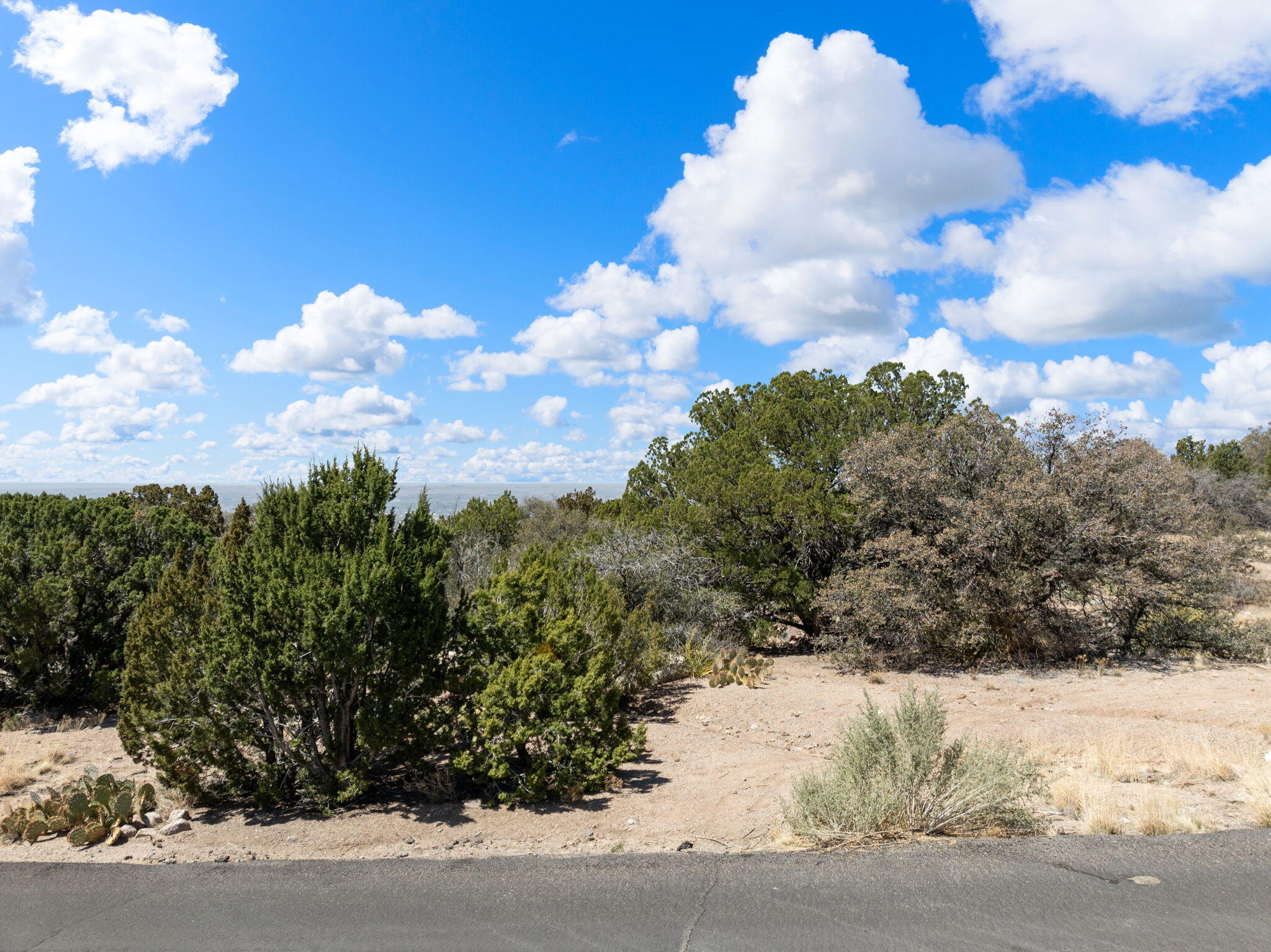 233 Spring Creek Court, Albuquerque, New Mexico image 13