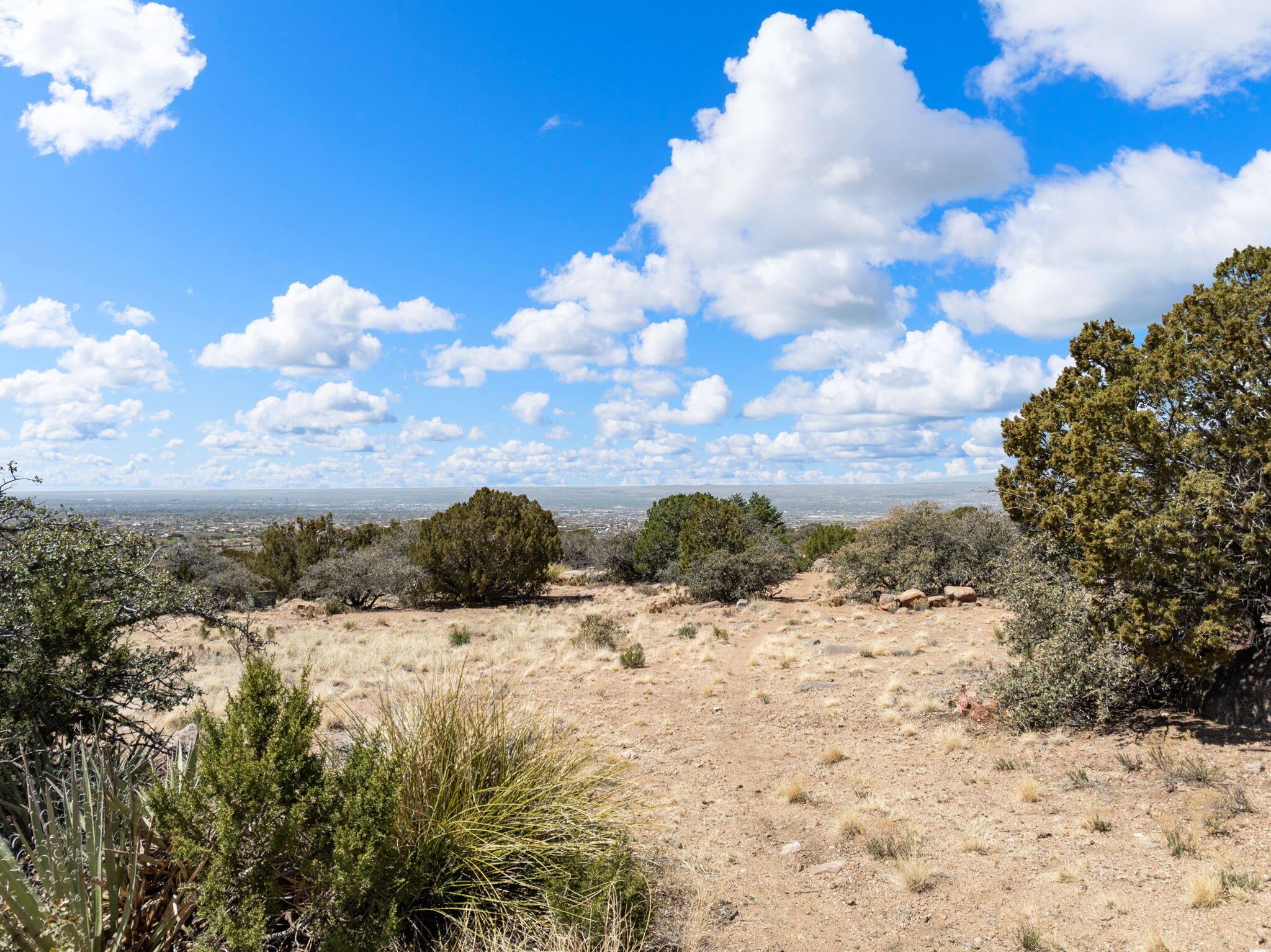 233 Spring Creek Court, Albuquerque, New Mexico image 14