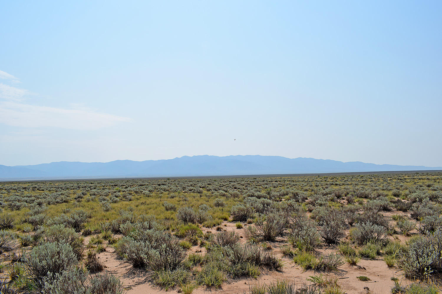 Lot 4 Rio Del Oro #11, Los Lunas, New Mexico image 8