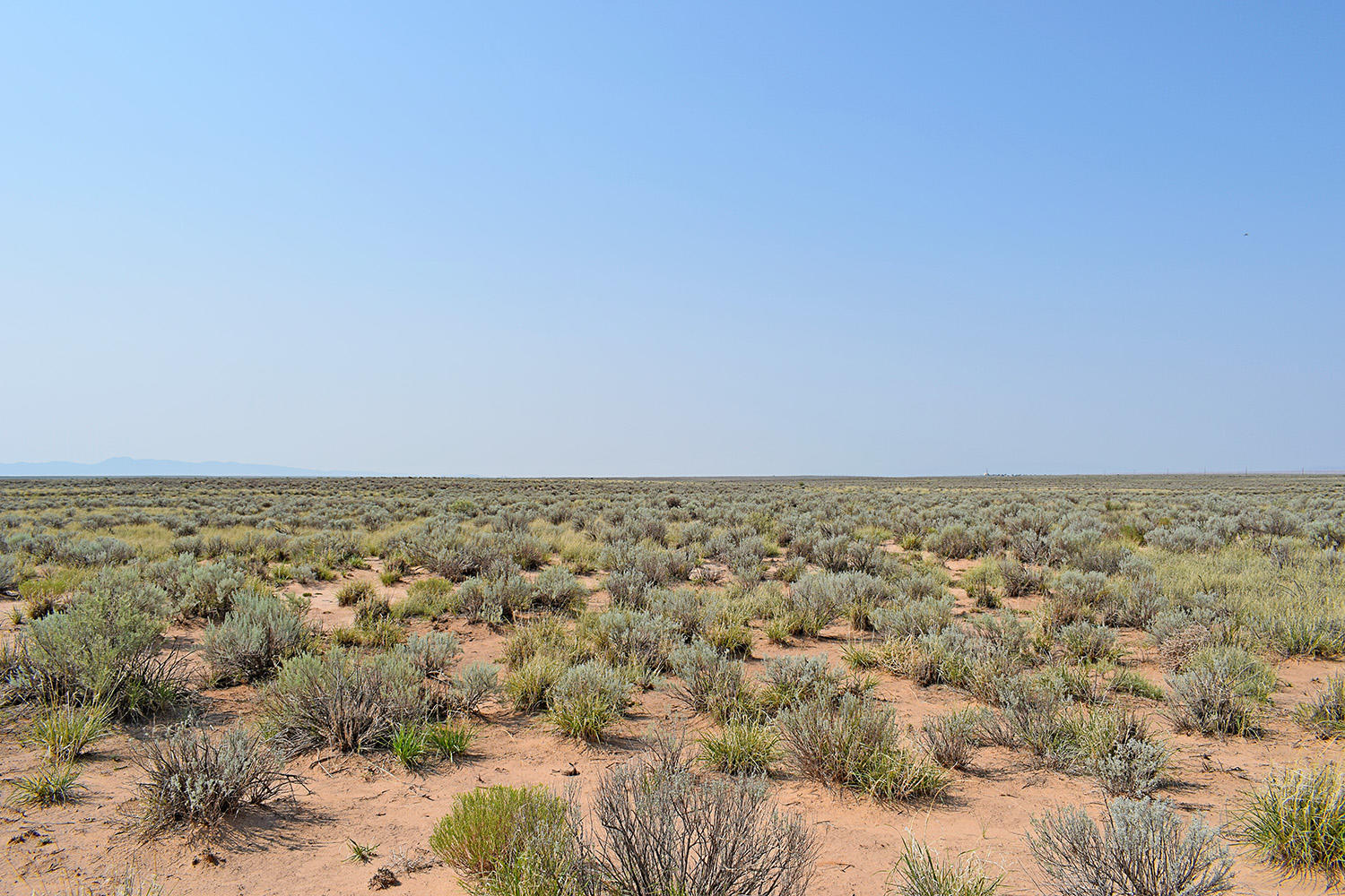 Lot 4 Rio Del Oro #11, Los Lunas, New Mexico image 1