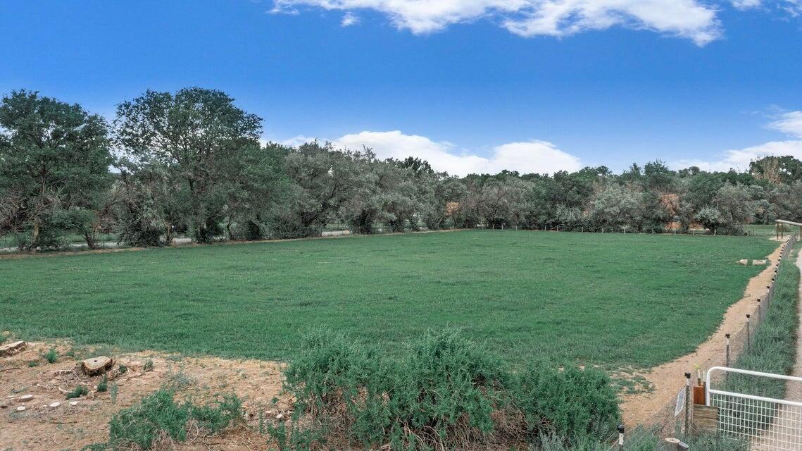 Behkne Road, Los Lunas, New Mexico image 1