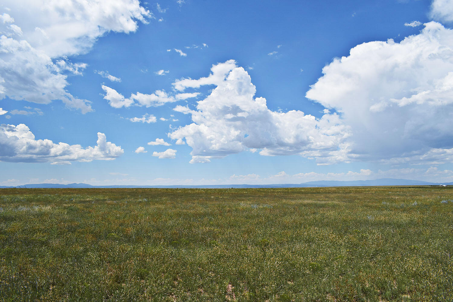 Lot 5 Estancia Ranchettes #4, Moriarty, New Mexico image 8