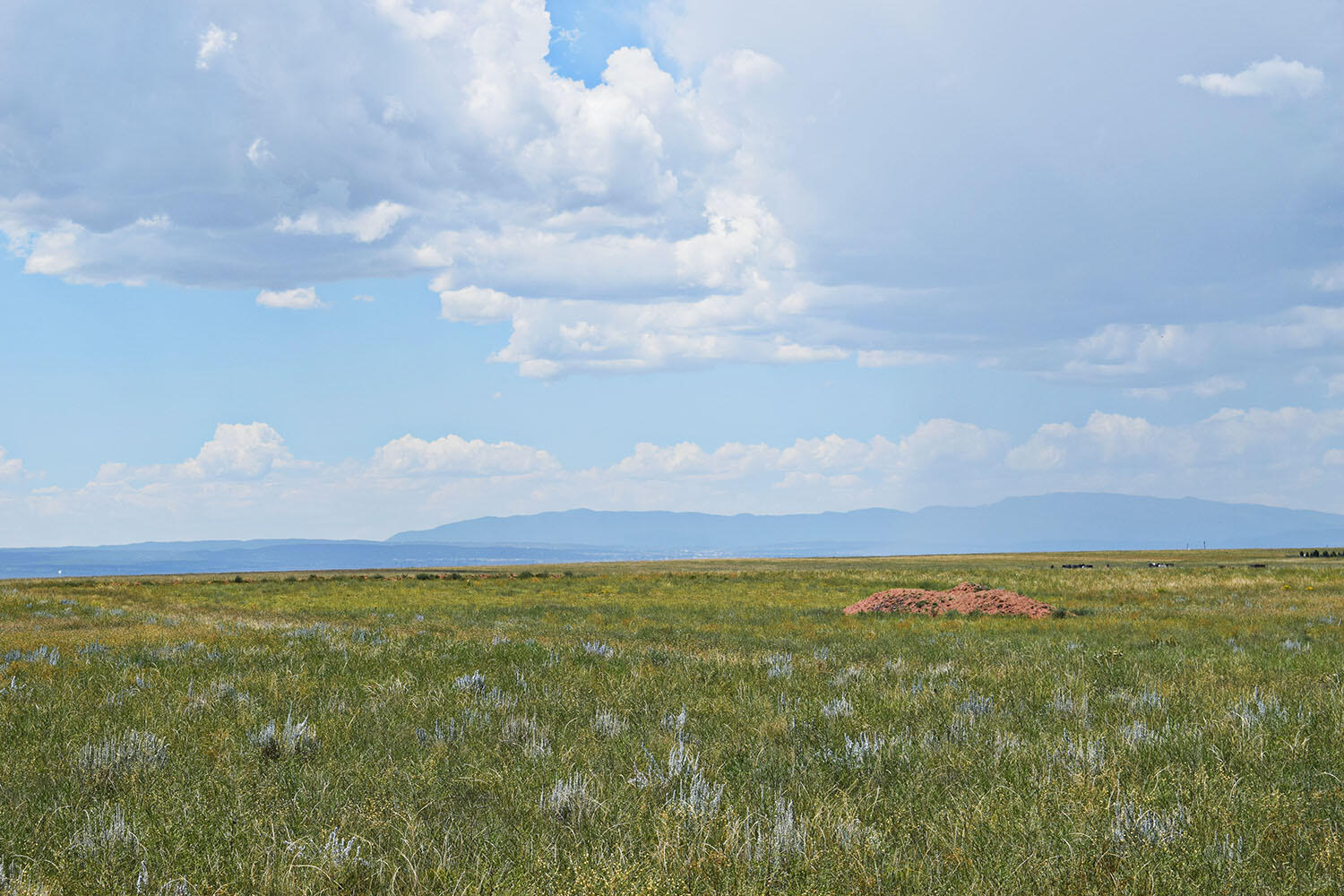 Lot 5 Estancia Ranchettes #4, Moriarty, New Mexico image 25