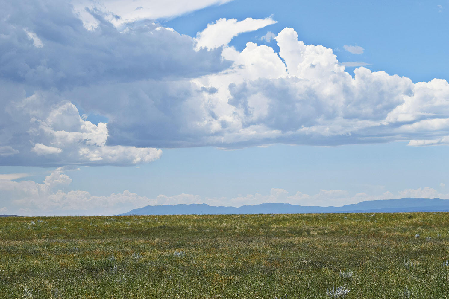 Lot 5 Estancia Ranchettes #4, Moriarty, New Mexico image 22