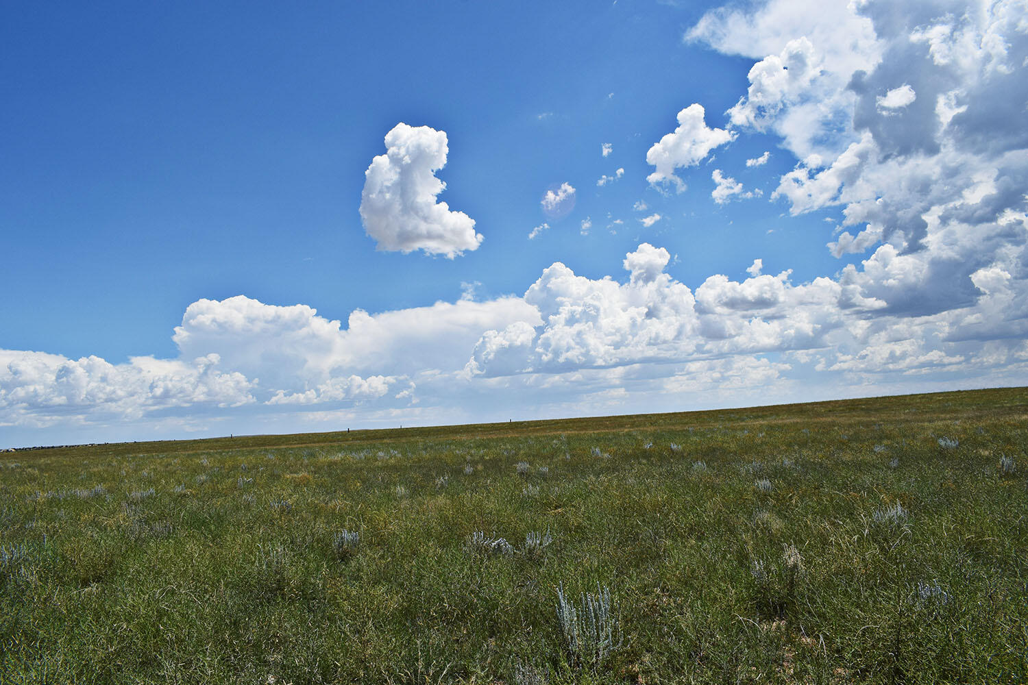 Lot 5 Estancia Ranchettes #4, Moriarty, New Mexico image 18