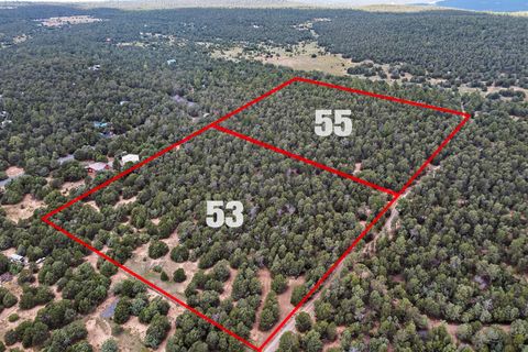 Vacant Land For Sale - 53 & 55 Gonzales Road<br/> Tijeras, NM 87059
