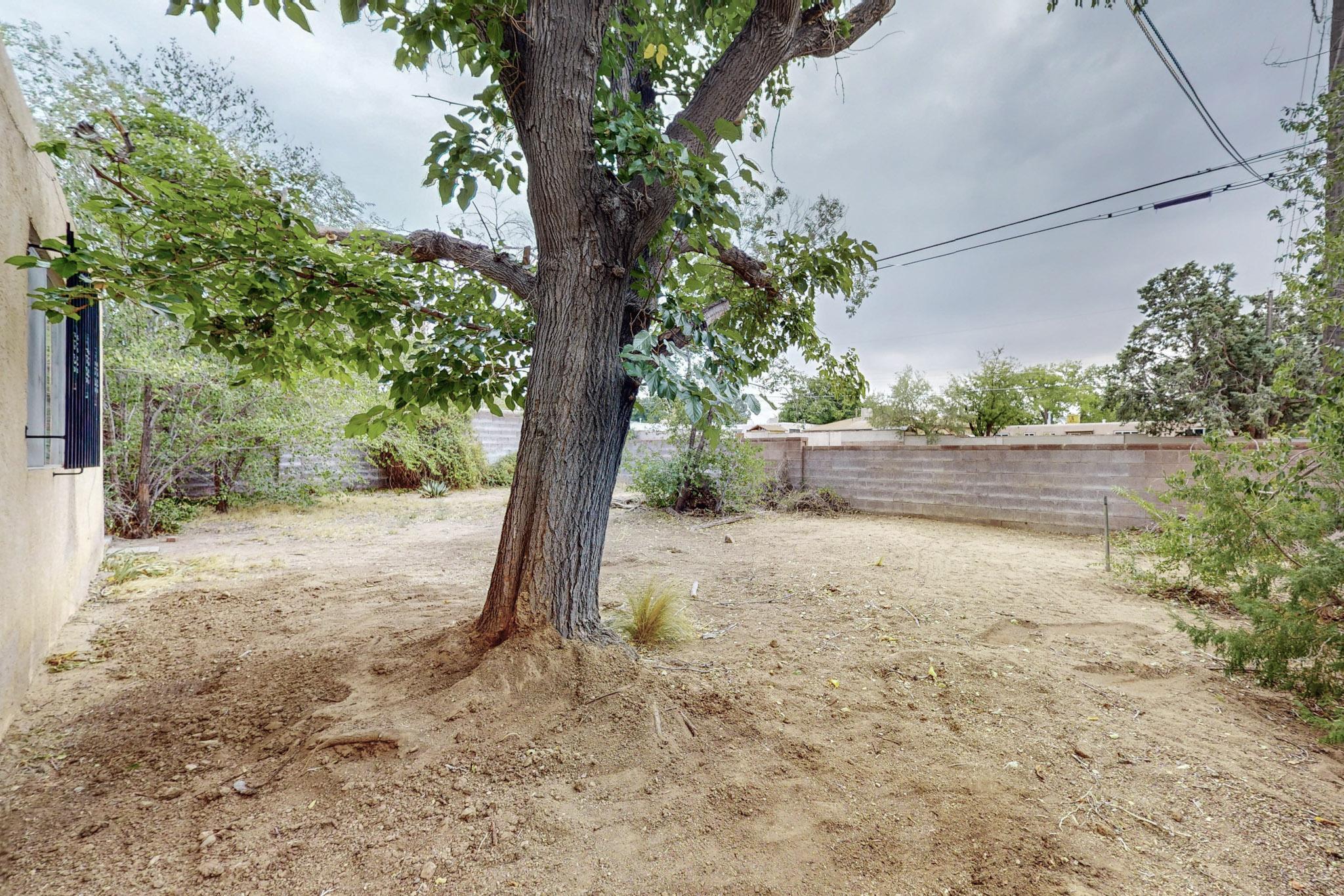 11408 Snowheights Boulevard, Albuquerque, New Mexico image 38