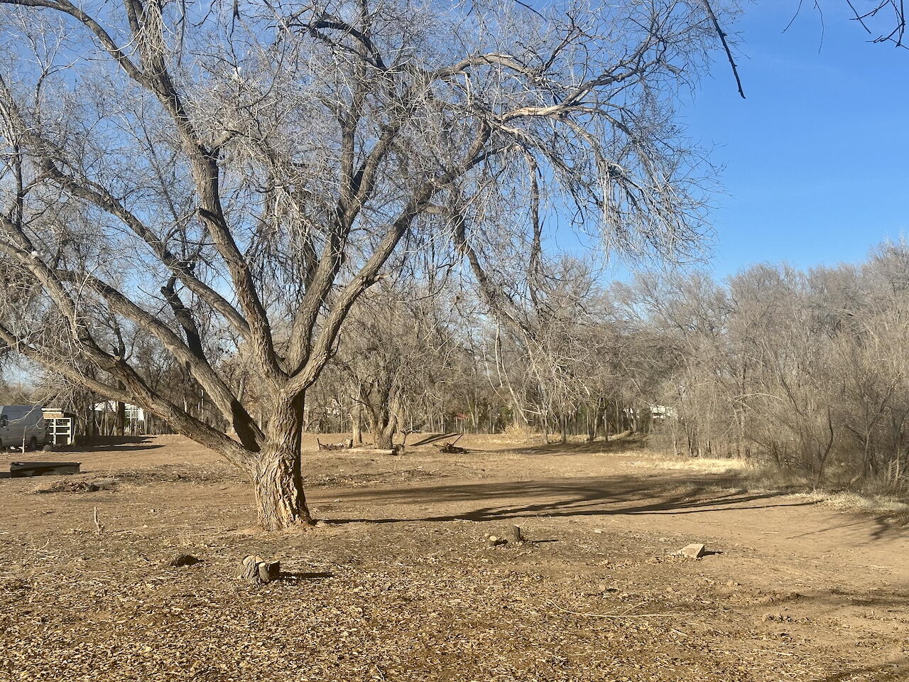 3227 Duranes Road, Albuquerque, New Mexico image 6