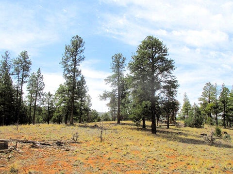 Vacant Land For Sale - Forest Road 157<br/> Ramah, NM 87321