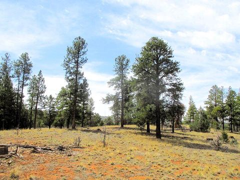 Forest Road 157 Ramah NM 87321