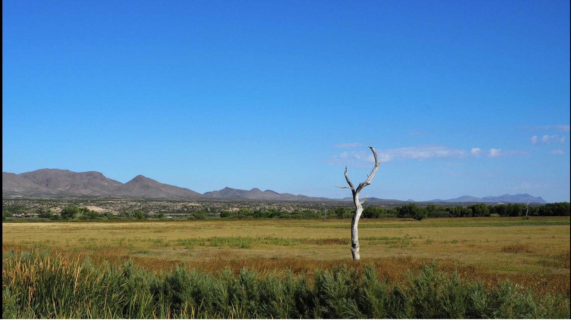 Off Of Bosquecito Street, San Antonio, New Mexico image 5