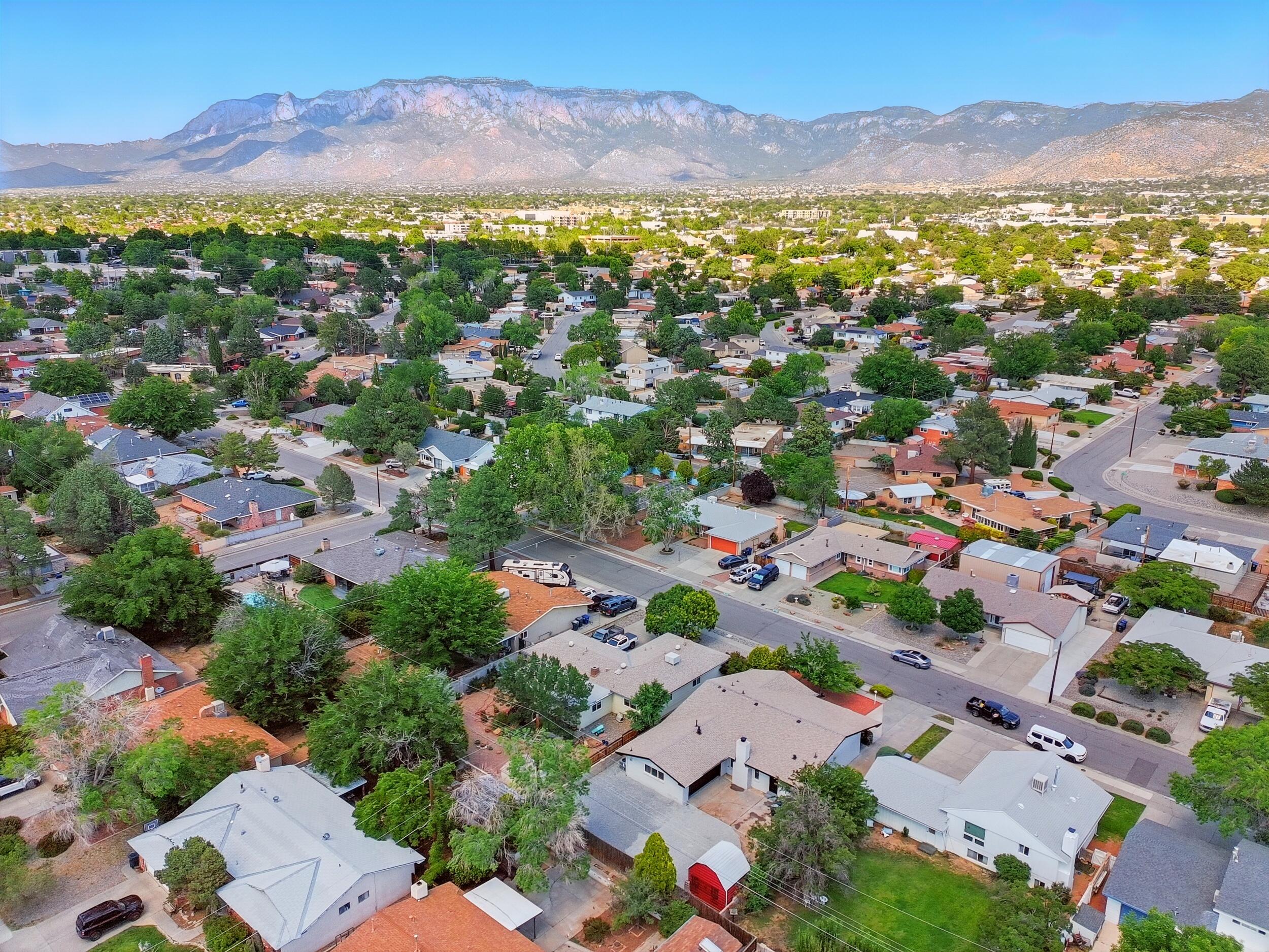 3833 Inca Street, Albuquerque, New Mexico image 39