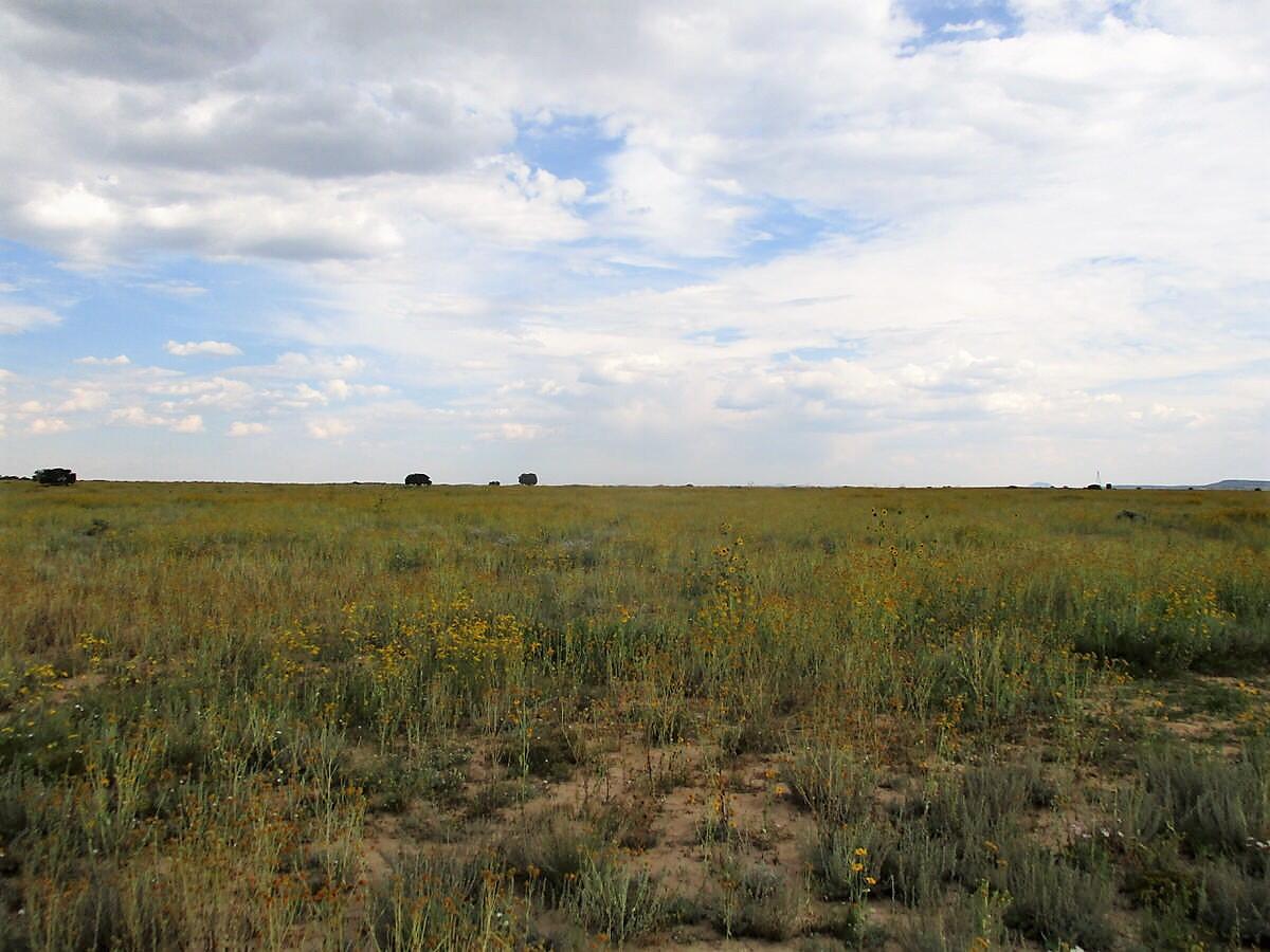 111 Thump Ridge Road, Ramah, New Mexico image 14