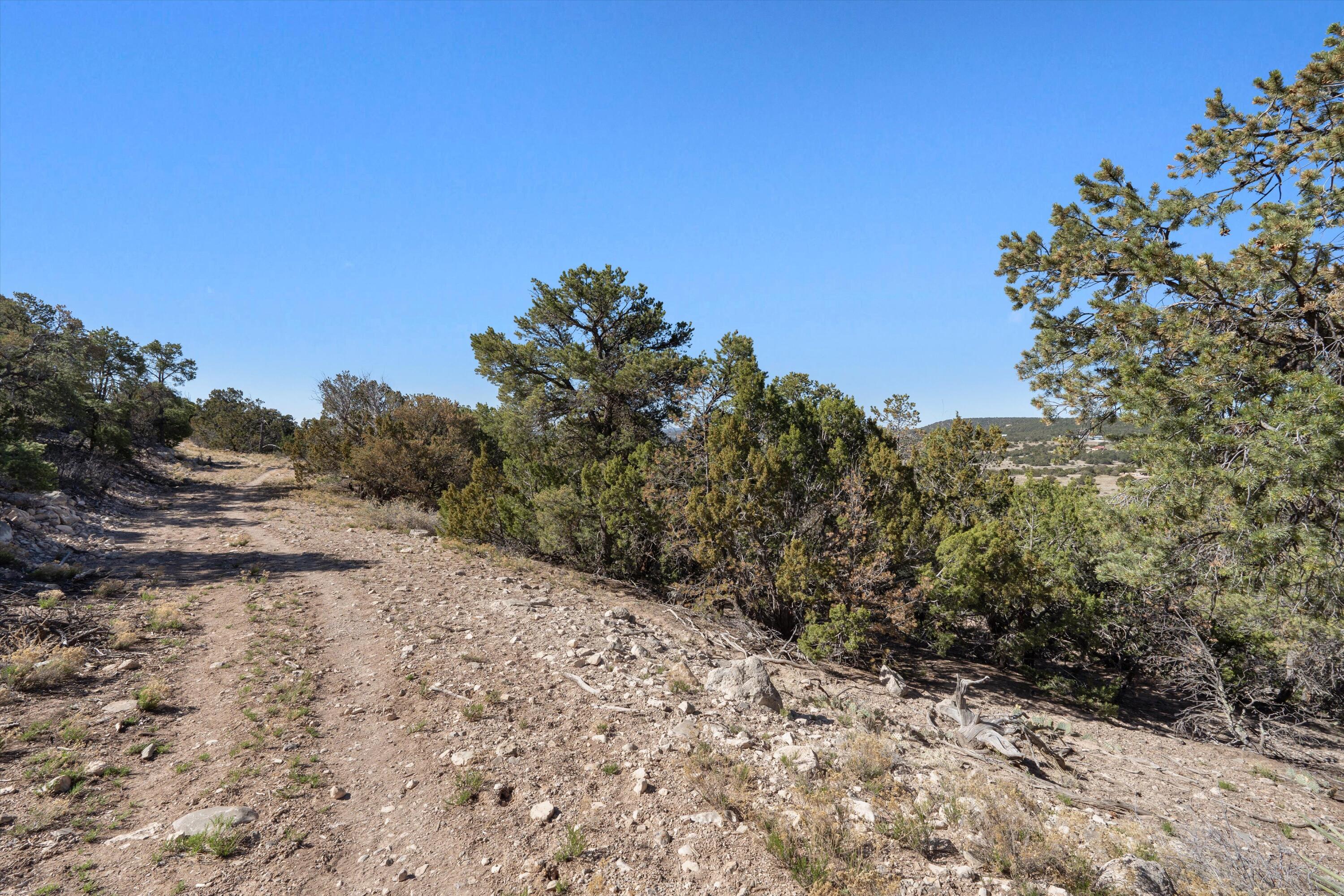 35 Alta Court, Edgewood, New Mexico image 7