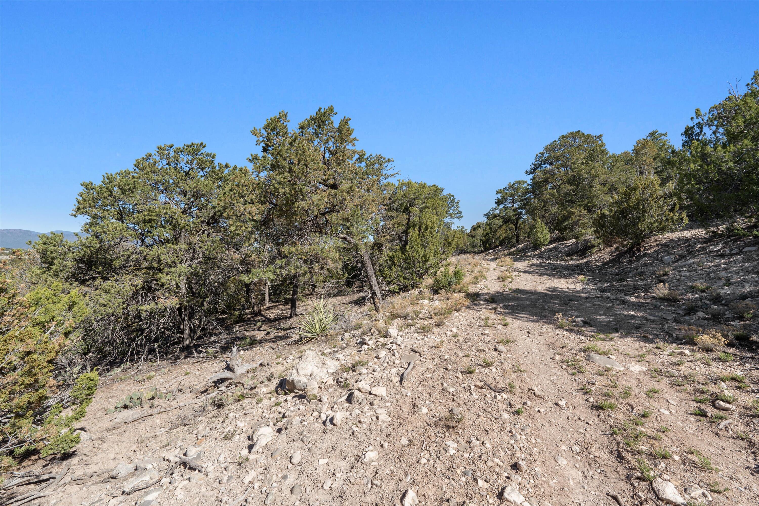 35 Alta Court, Edgewood, New Mexico image 6
