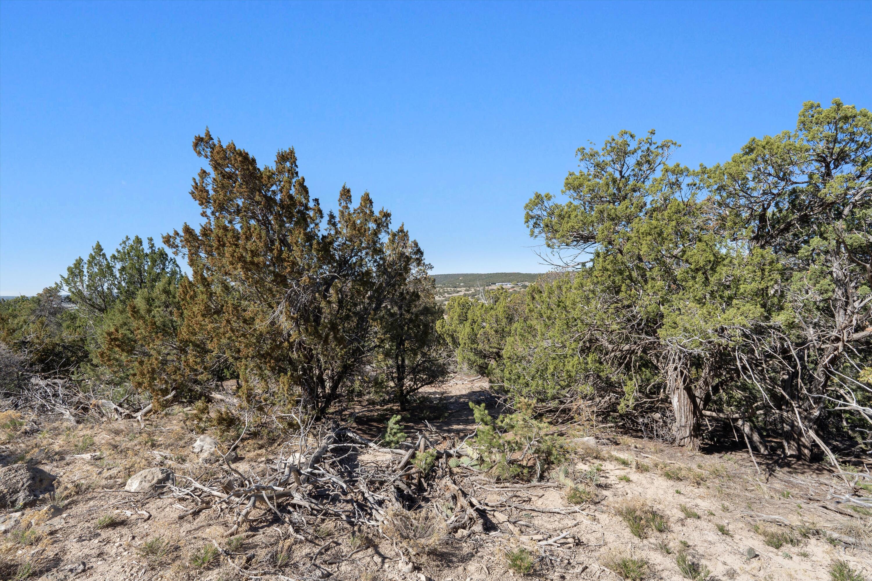 35 Alta Court, Edgewood, New Mexico image 5
