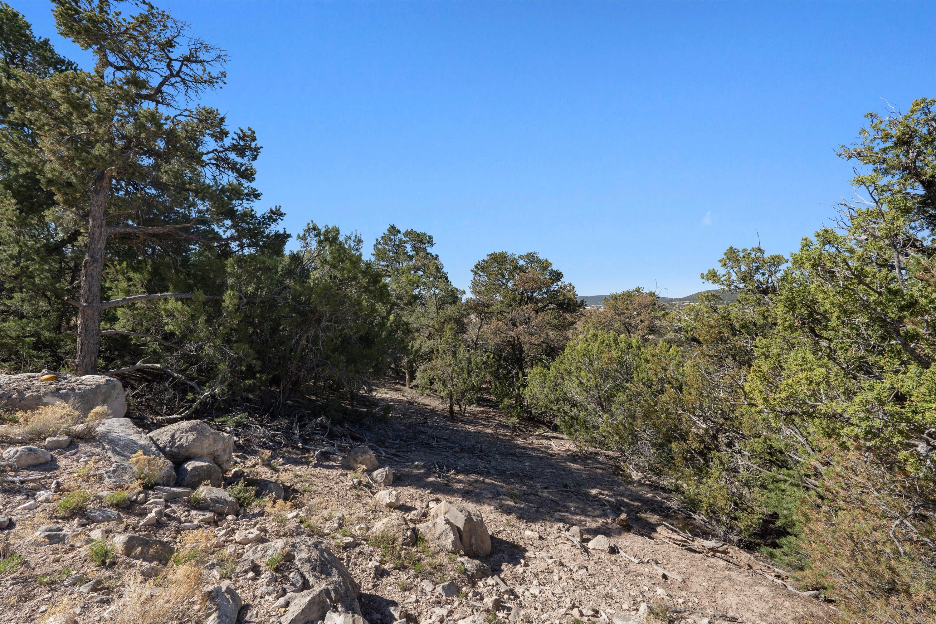 35 Alta Court, Edgewood, New Mexico image 8