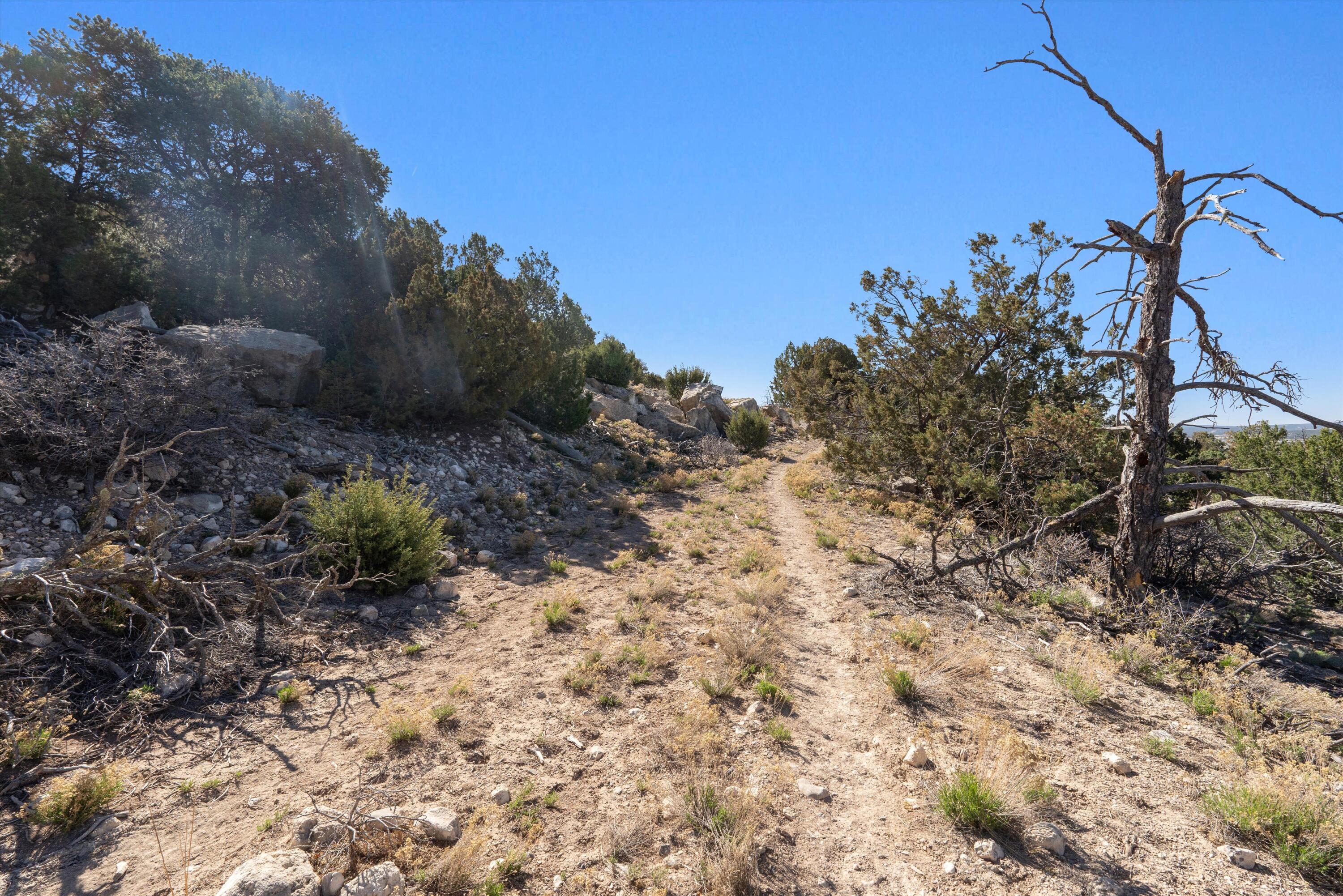 35 Alta Court, Edgewood, New Mexico image 2
