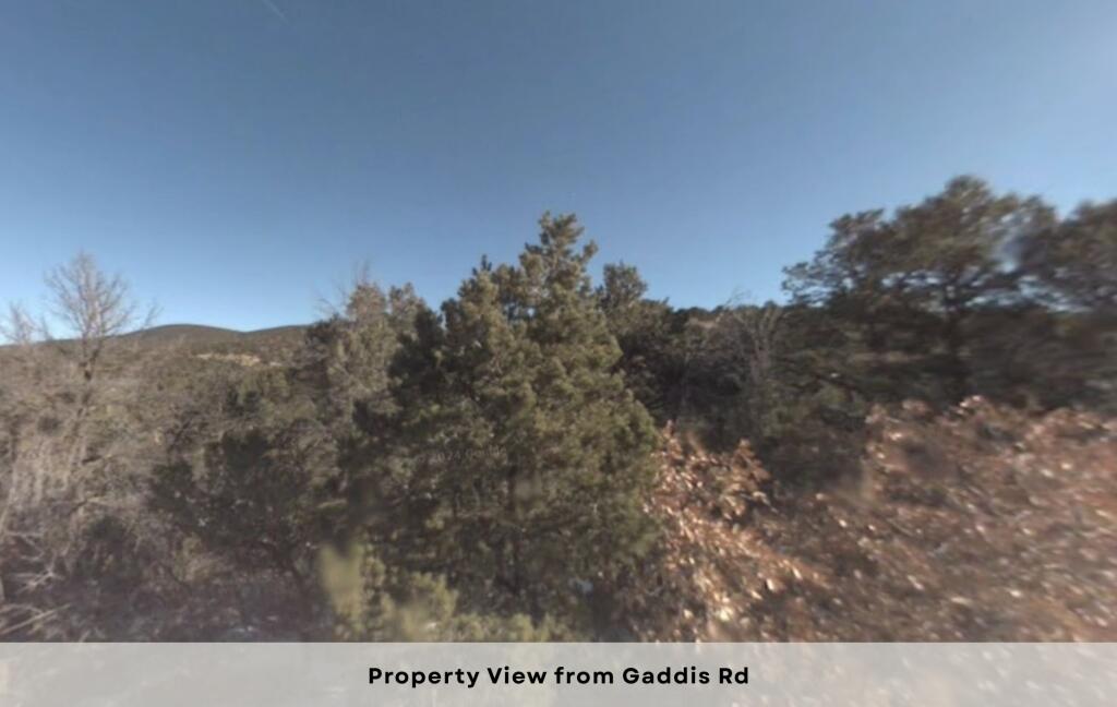 24 Sam Ford Drive, McIntosh, New Mexico image 21