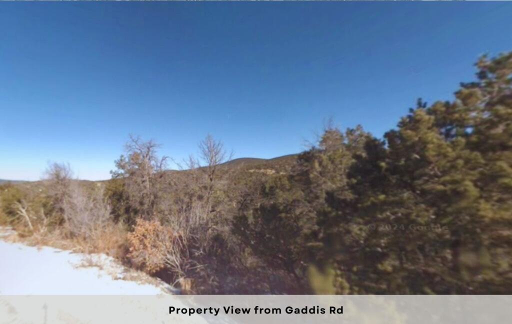 24 Sam Ford Drive, McIntosh, New Mexico image 20