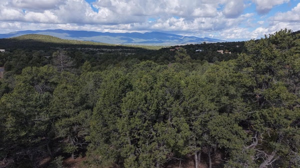 12 LOS PECOS TRL, TIJERAS, NM 87059 - Image 99fd1fc743e7d0871fbeabdd64bdfc3b/778368398