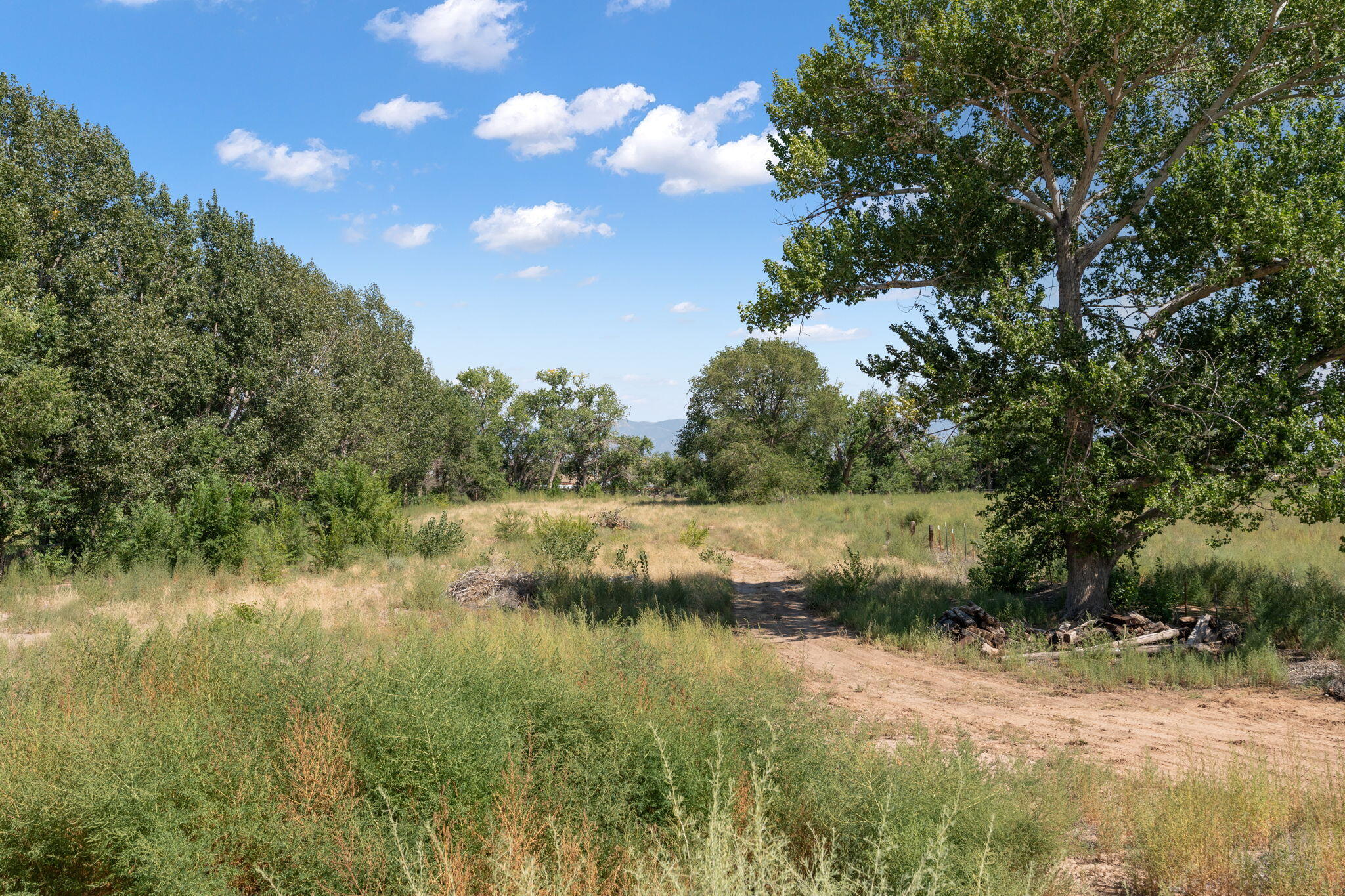 1500 N Mesa Road, Belen, New Mexico image 44