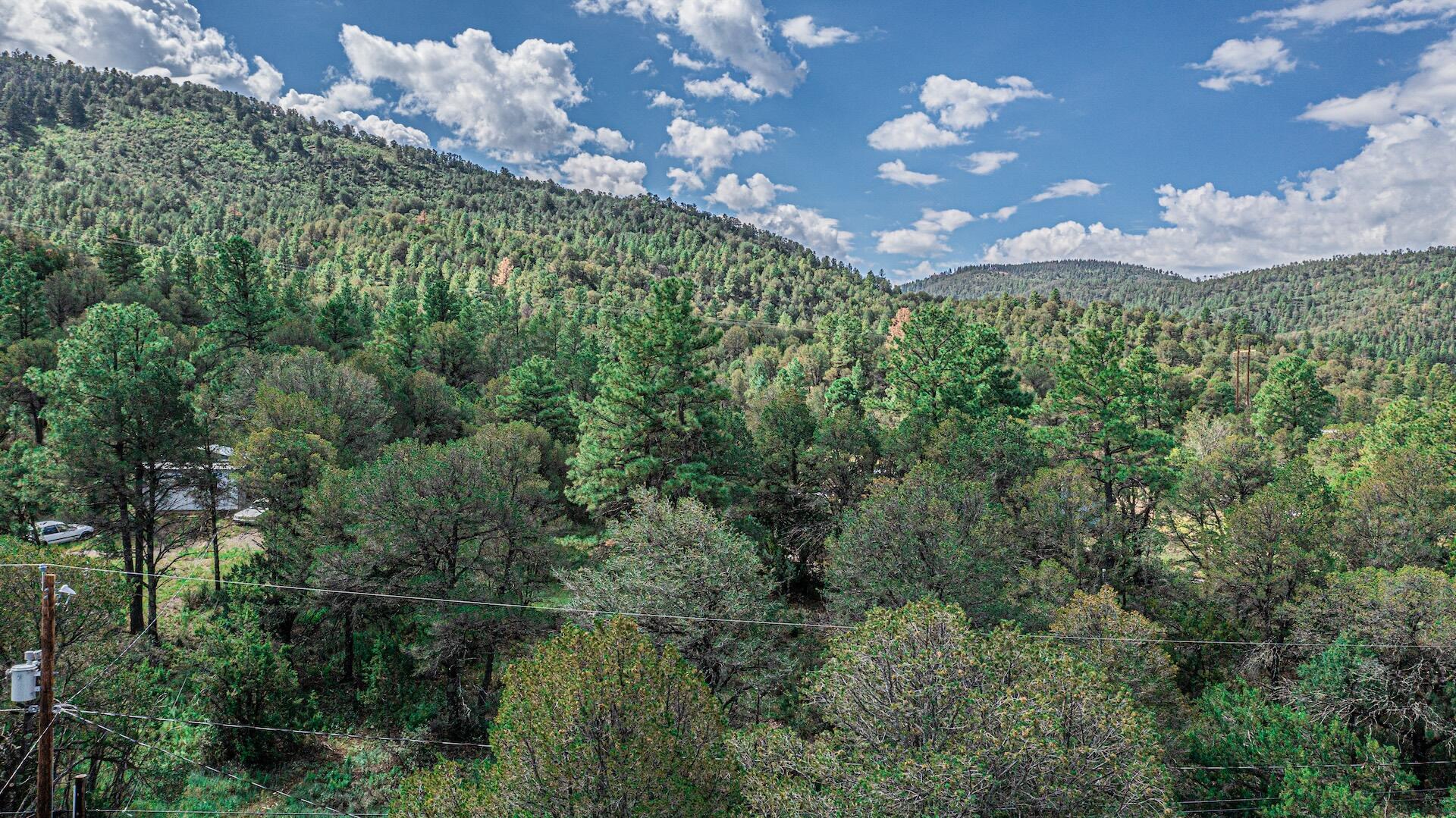 437 Colorado Lane, Ruidoso Downs, New Mexico image 19