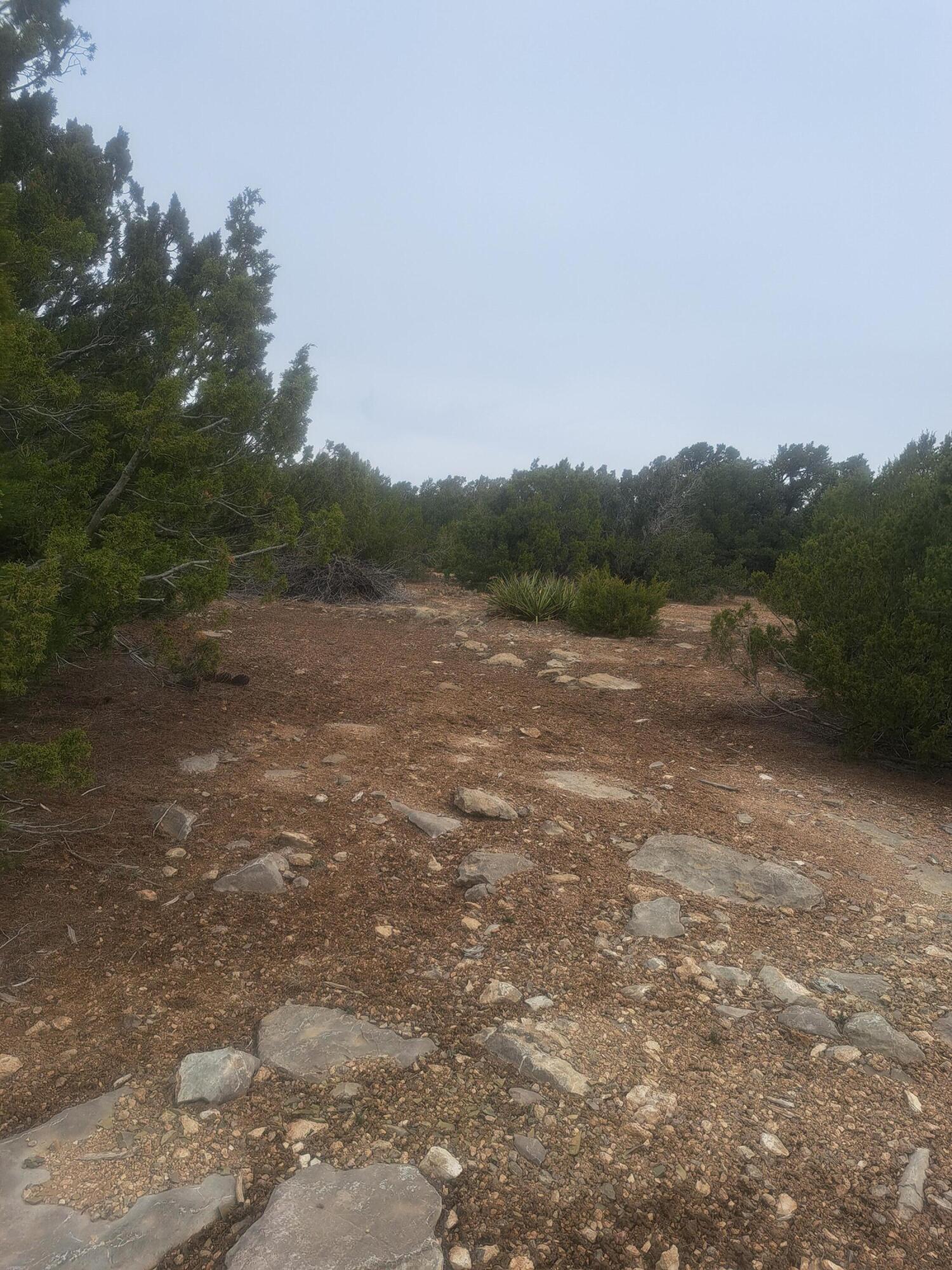 73 Highview Lane, Edgewood, New Mexico image 1