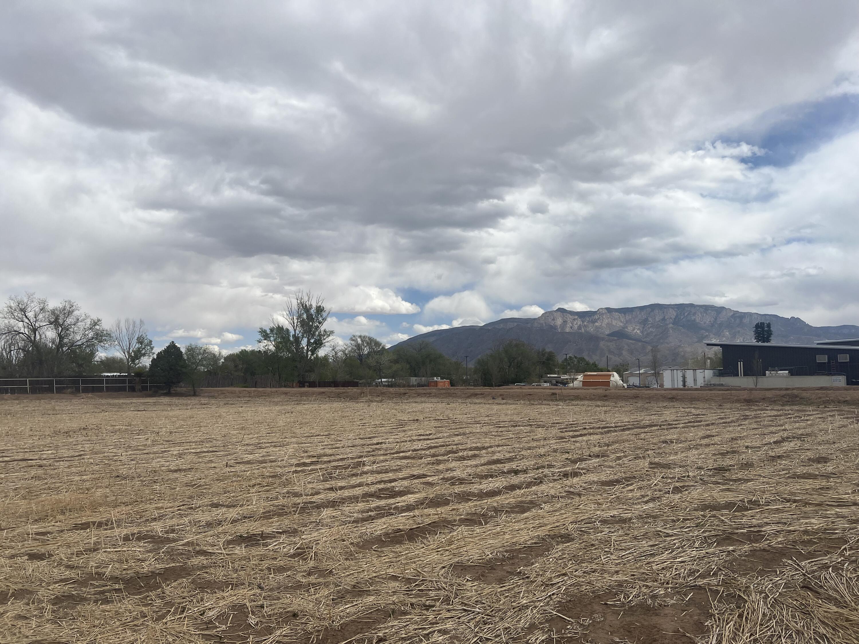 390 Pueblito Lane, Corrales, New Mexico image 6