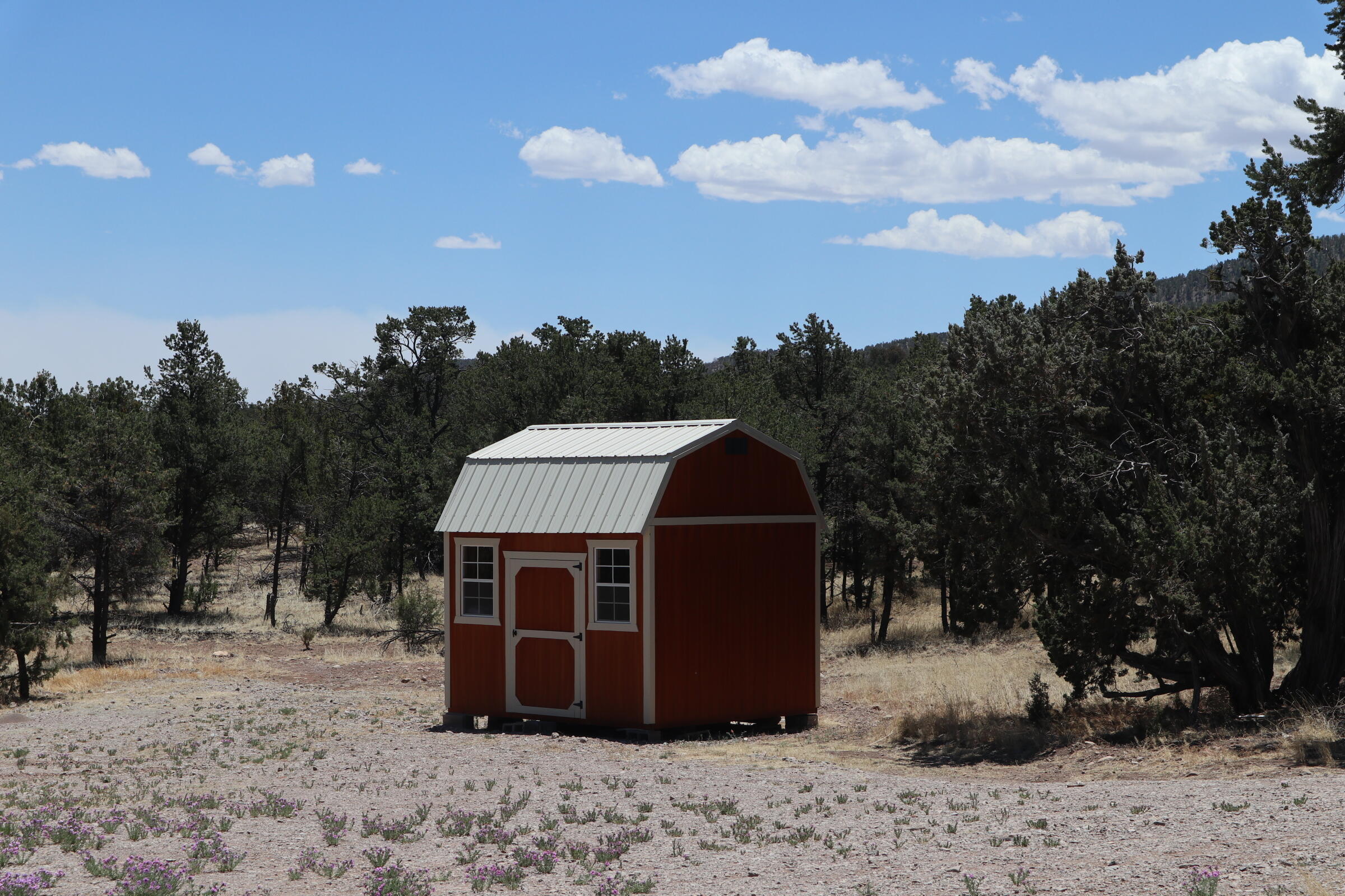 46 Wagon Trail, Datil, New Mexico image 23