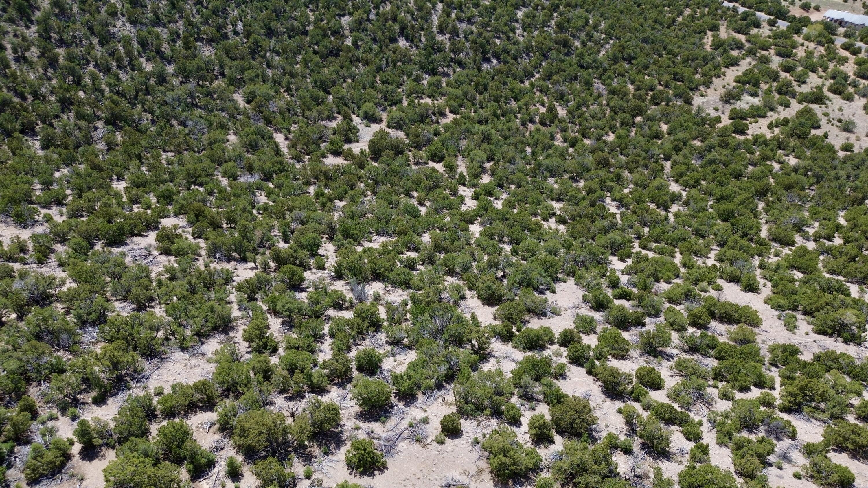 36 Prado Vista Vis, Sandia Park, New Mexico image 9