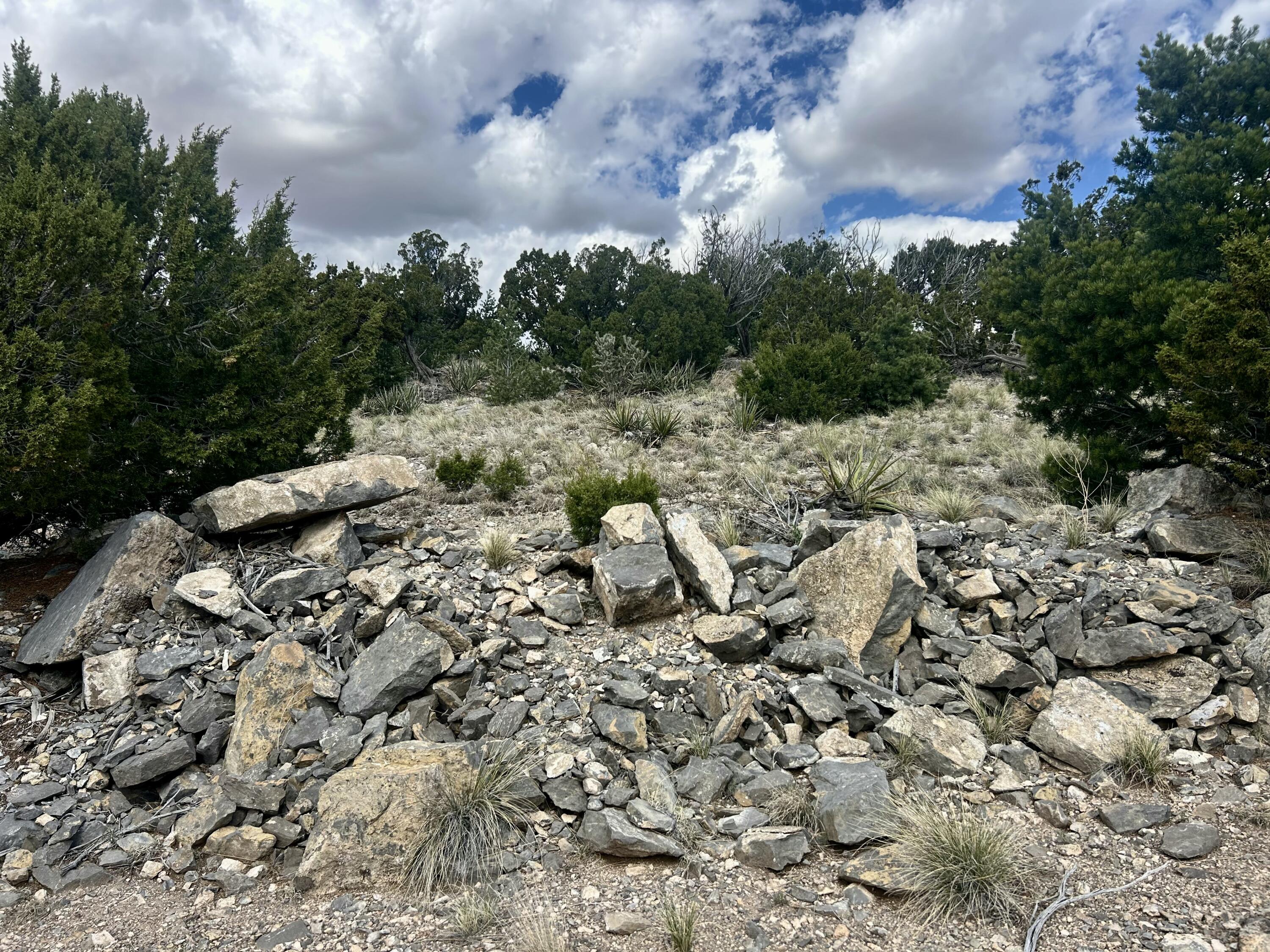 36 Prado Vista Vis, Sandia Park, New Mexico image 11