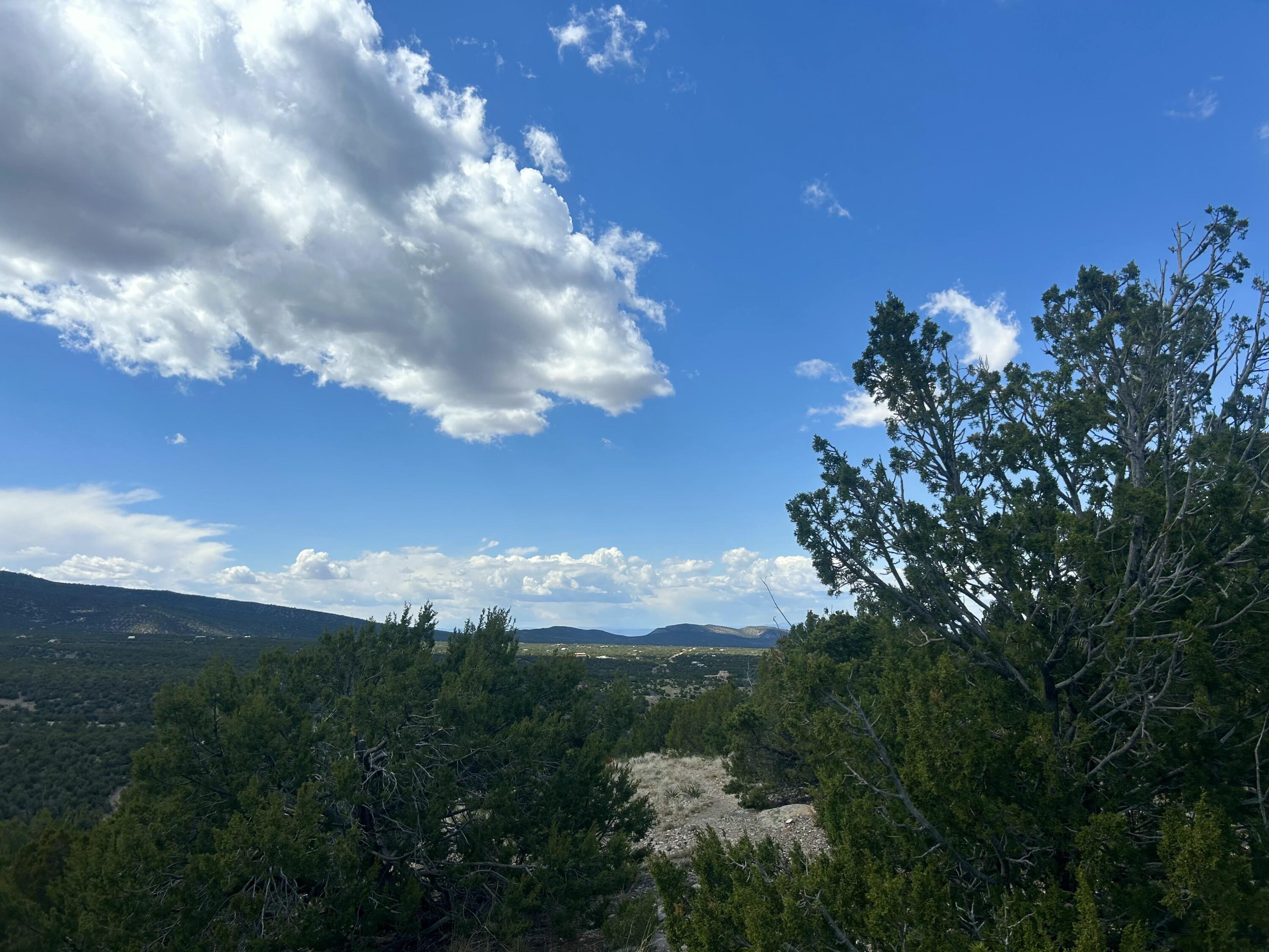 36 Prado Vista Vis, Sandia Park, New Mexico image 15