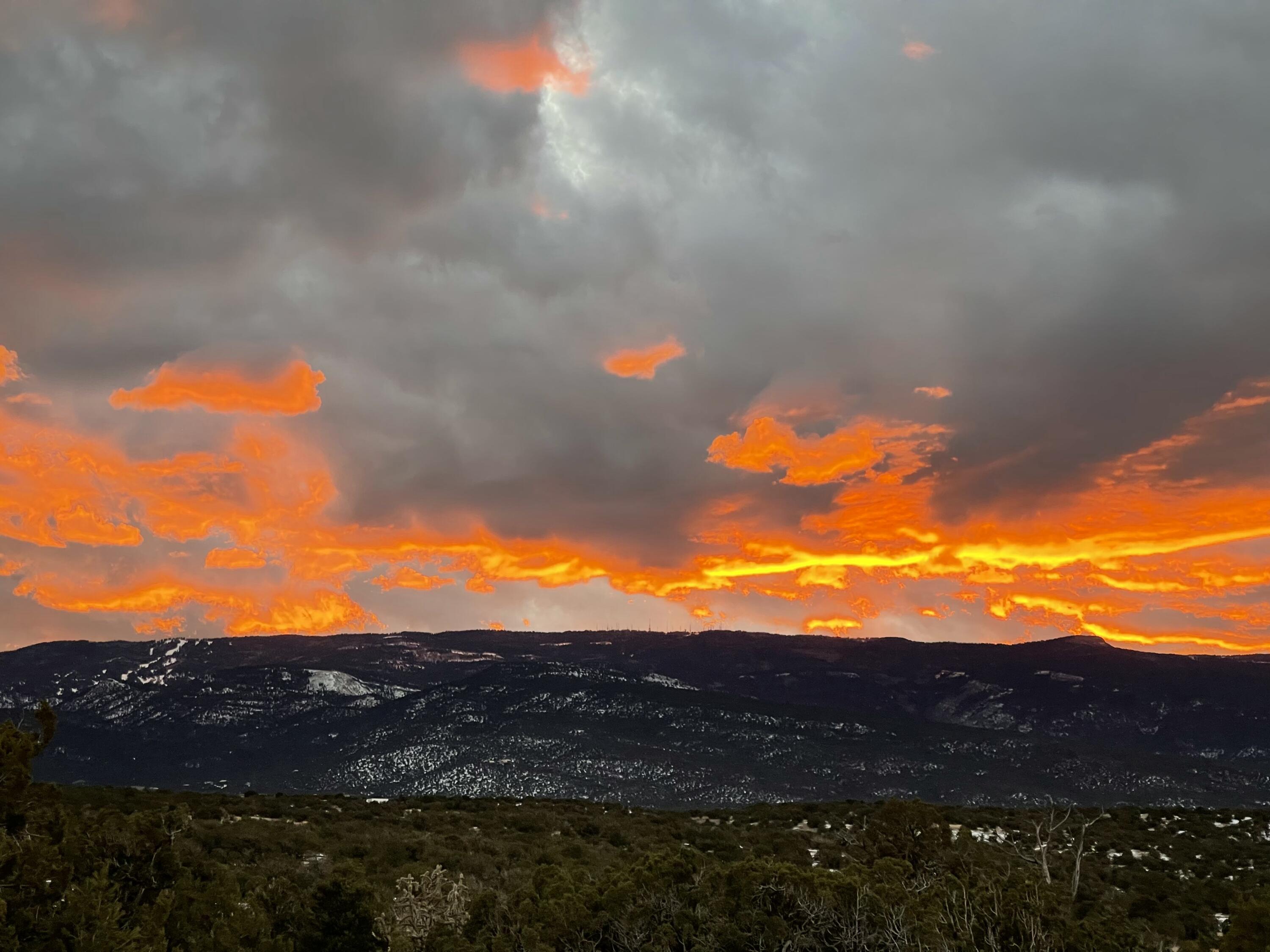 36 Prado Vista Vis, Sandia Park, New Mexico image 3