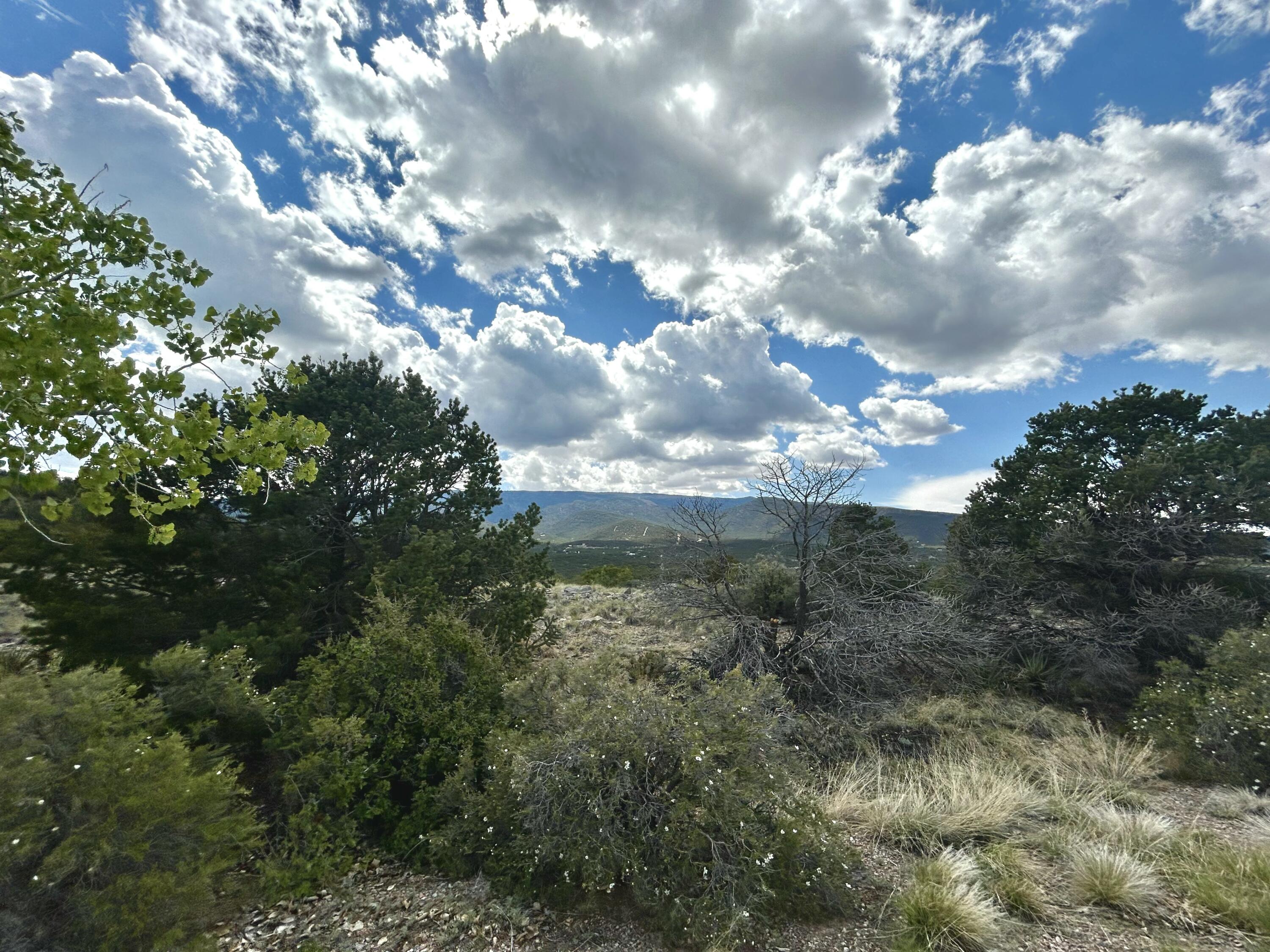 36 Prado Vista Vis, Sandia Park, New Mexico image 18