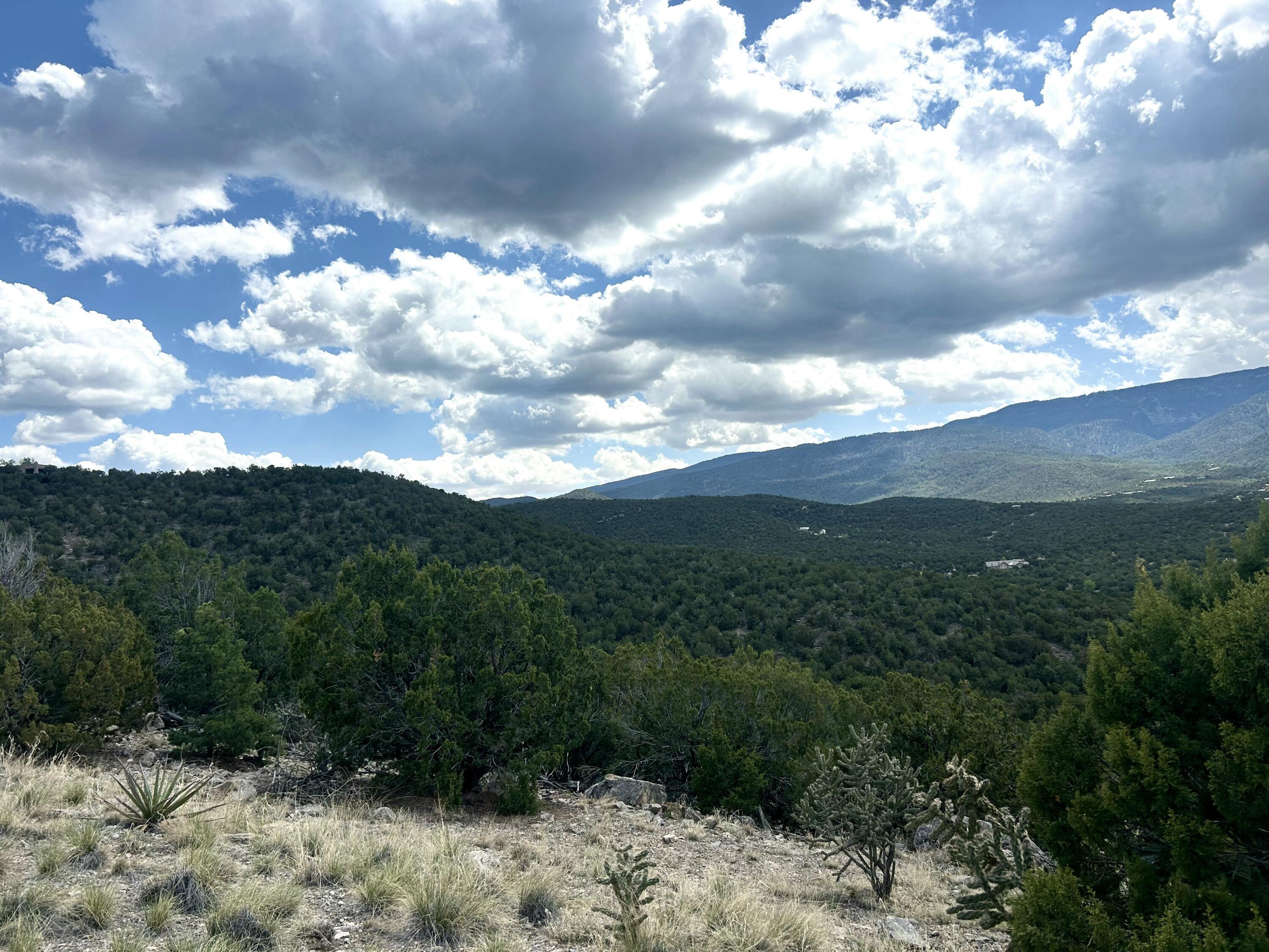 36 Prado Vista Vis, Sandia Park, New Mexico image 16