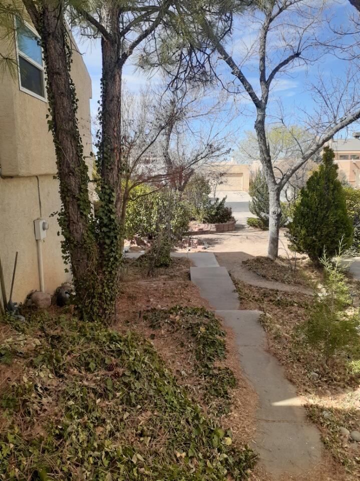 5528 Overlook Drive, Albuquerque, New Mexico image 14