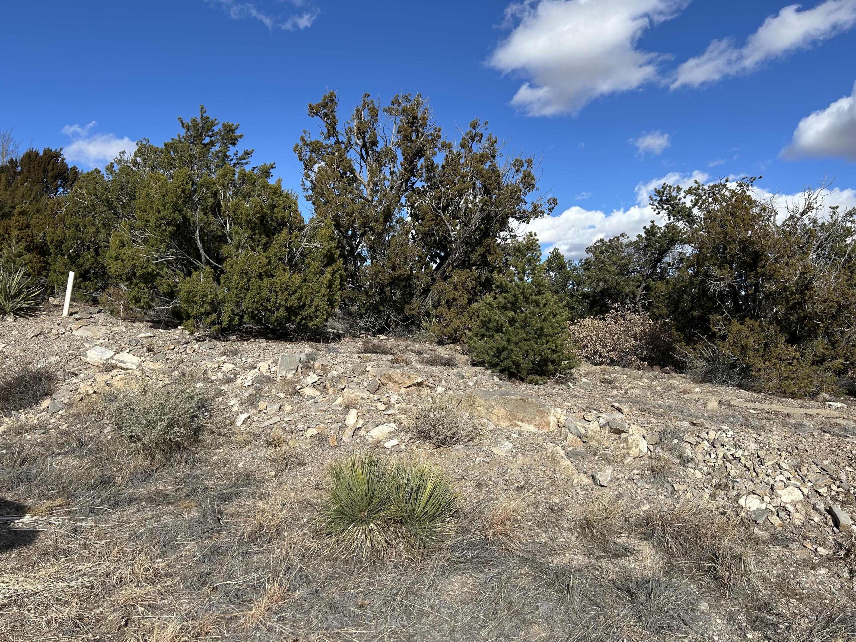 2 Zia Court, Sandia Park, New Mexico image 12