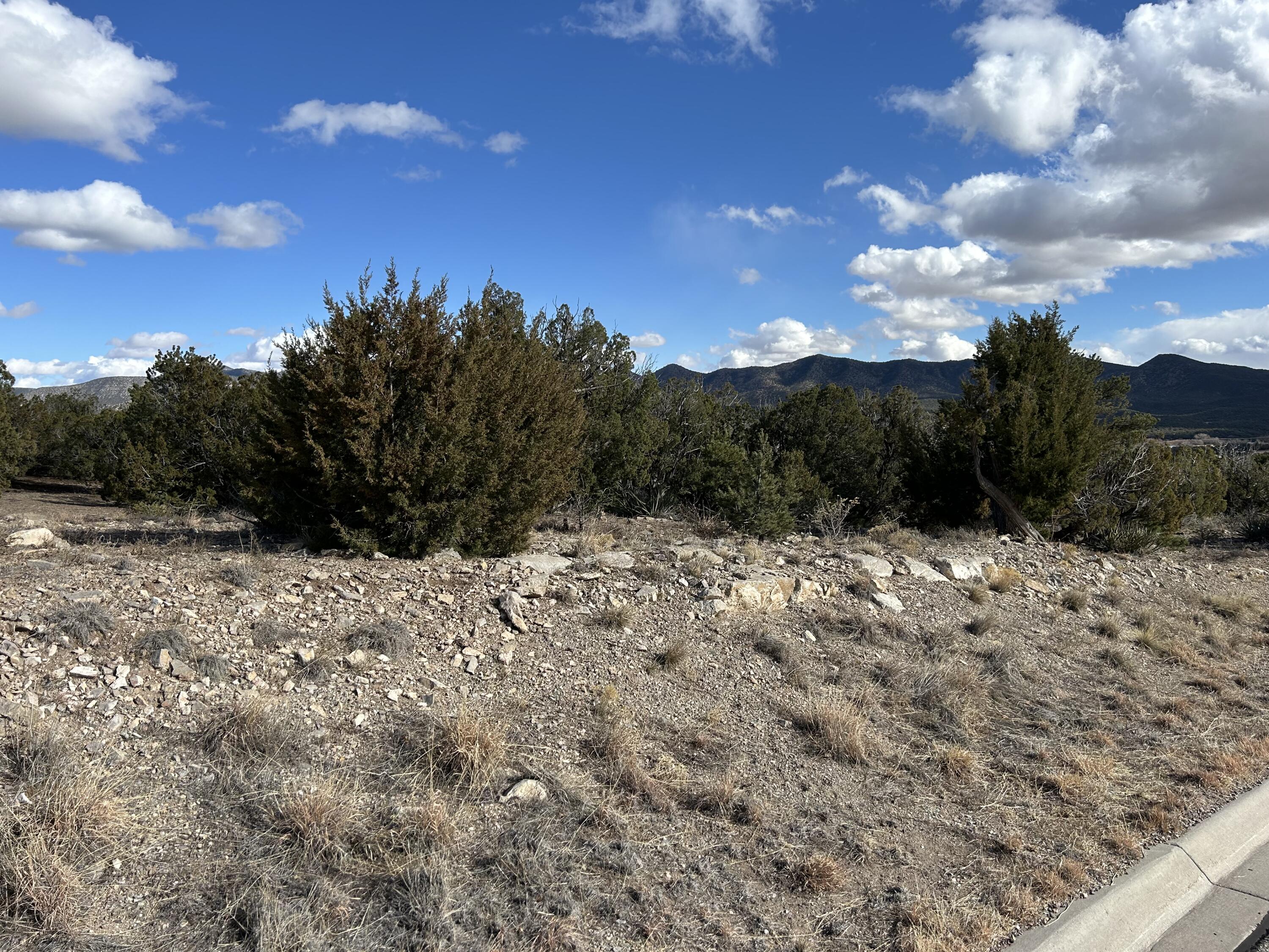 2 Zia Court, Sandia Park, New Mexico image 5