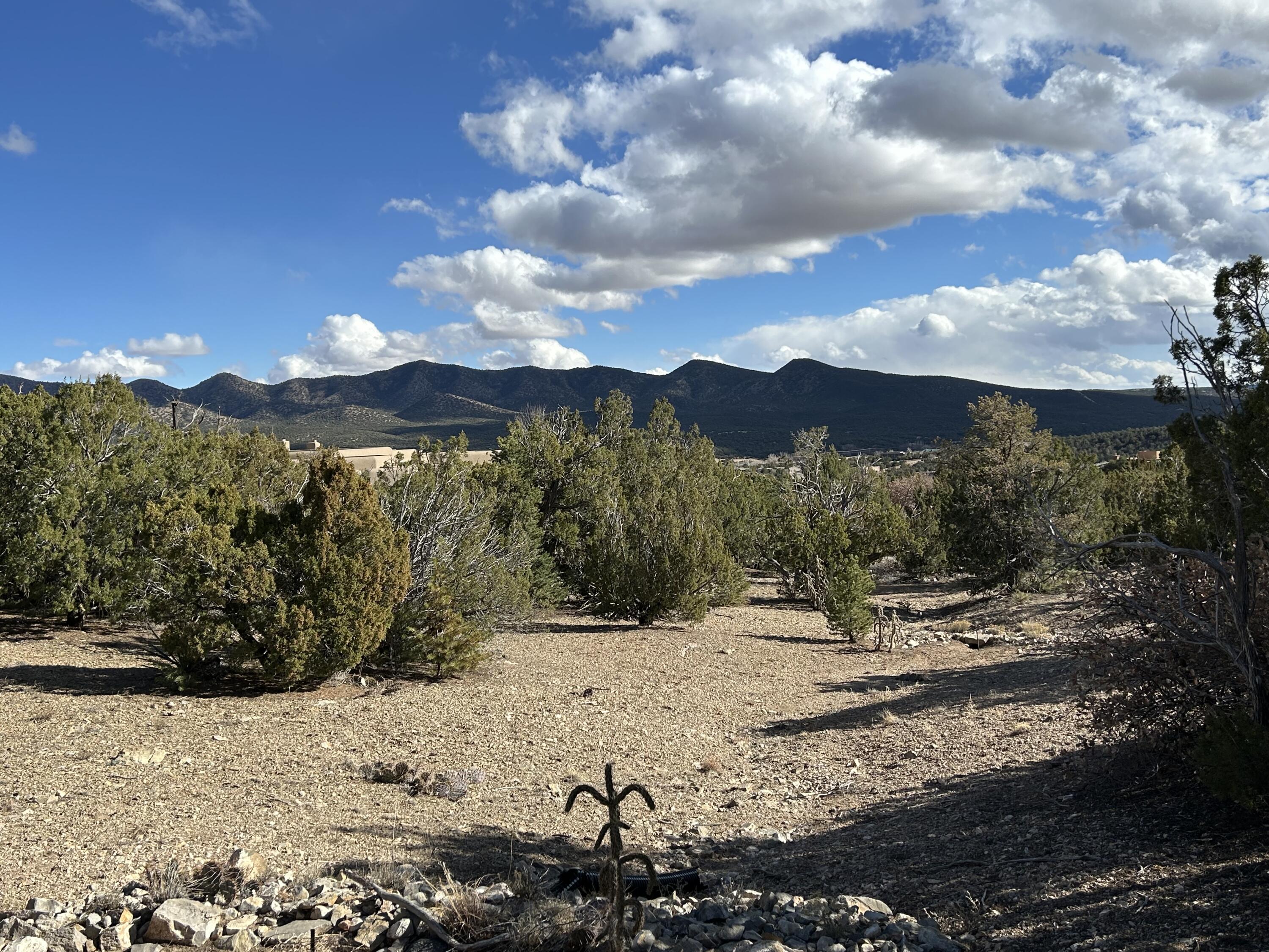 2 Zia Court, Sandia Park, New Mexico image 8