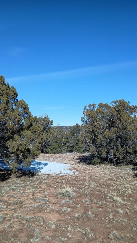 Photo of Deer Run Trail, Pie Town, NM 87827 (MLS # 1099629)
