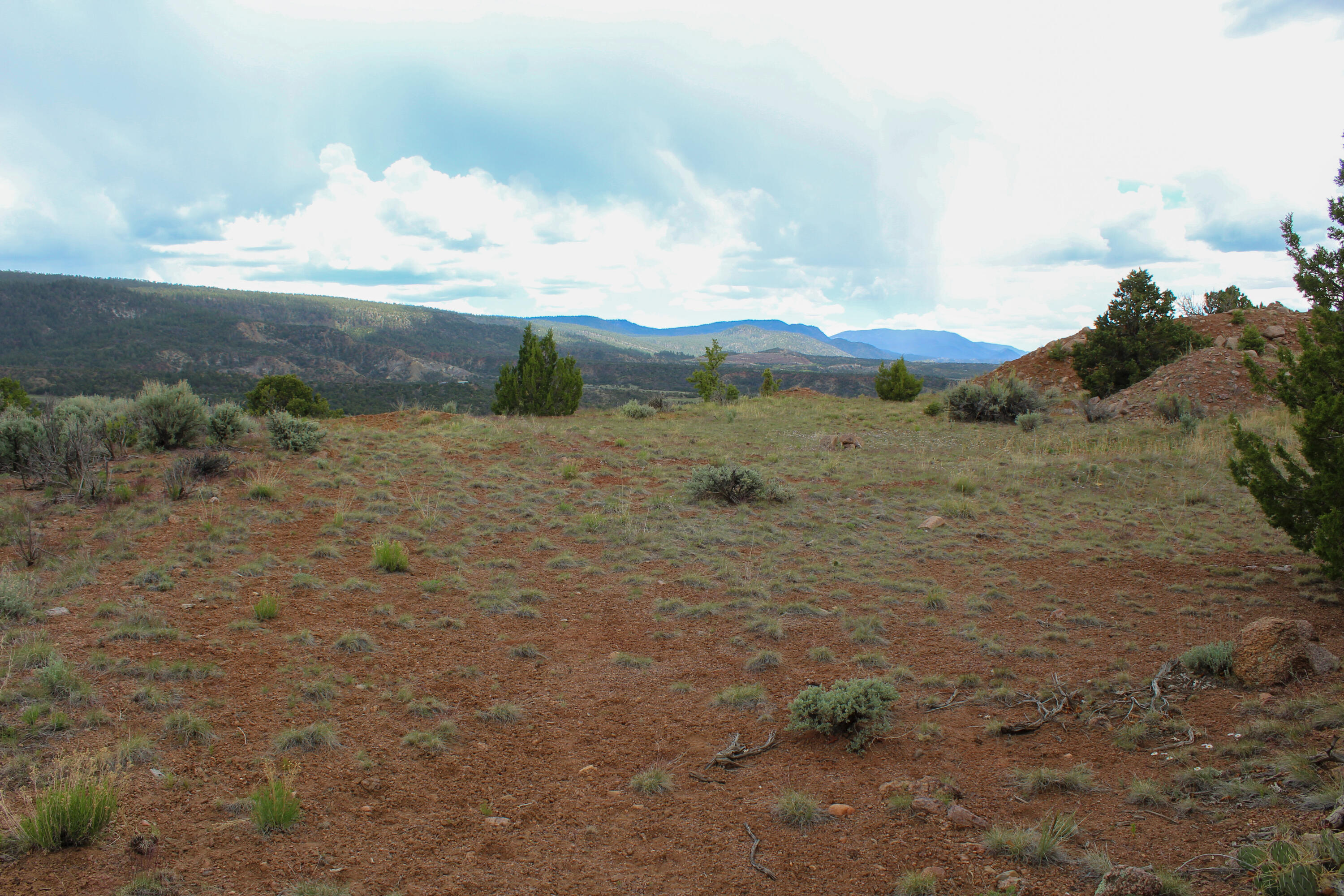 Tbd 200 Vallecitos Road Road, Cuba, New Mexico image 29