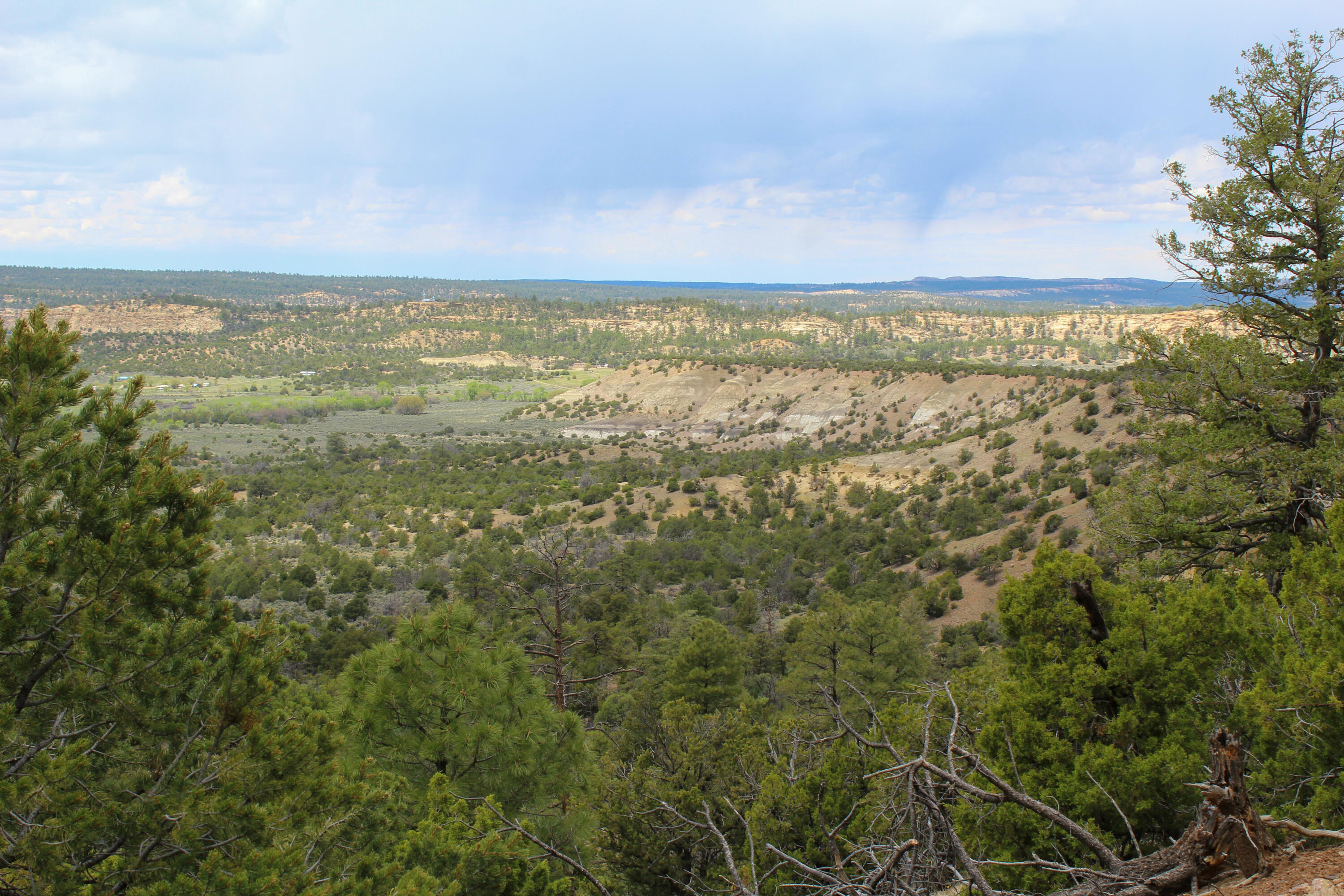 Tbd 200 Vallecitos Road Road, Cuba, New Mexico image 41