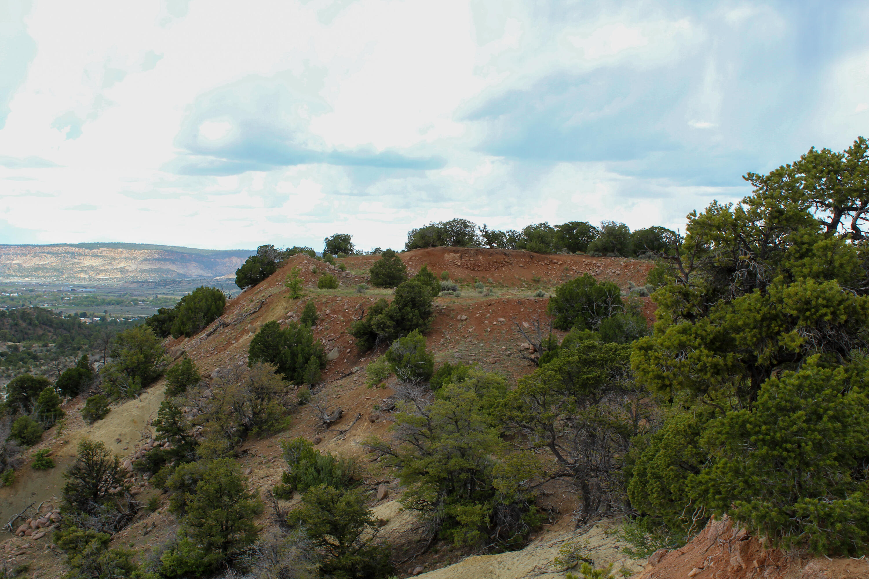 Tbd 200 Vallecitos Road Road, Cuba, New Mexico image 1